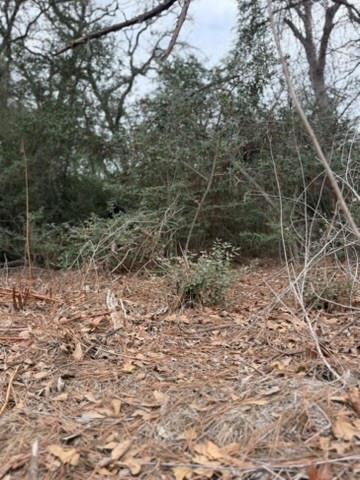 Lot 4 Yaupon Dr, Caldwell, TX 77836