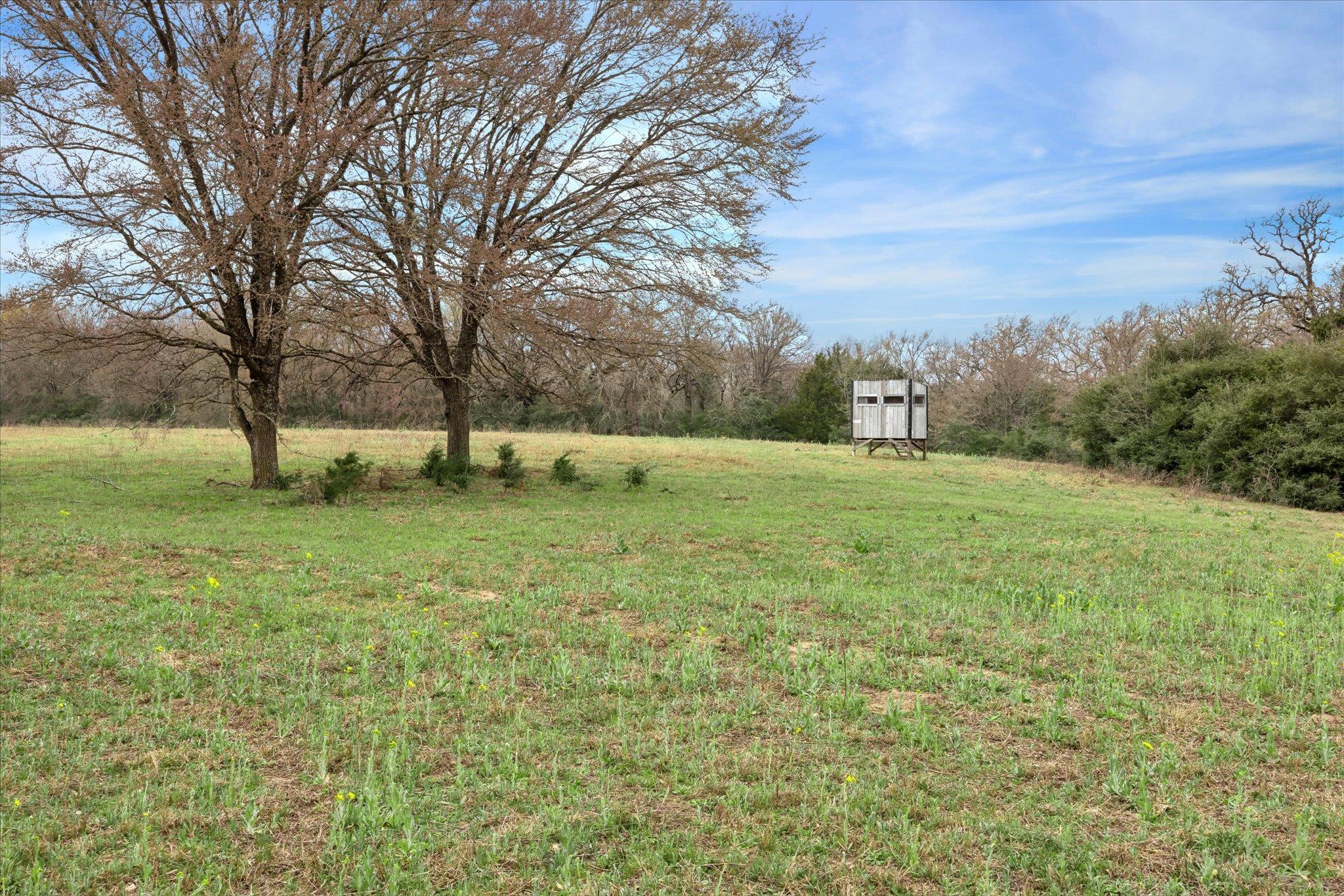 7281 County Road 358 Rd, Gause, TX 77836