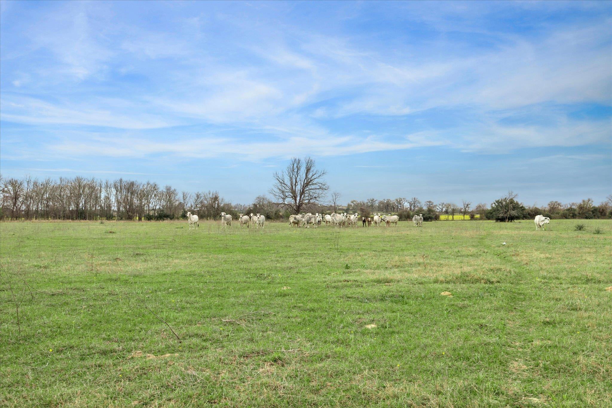 7281 County Road 358 Rd, Gause, TX 77836