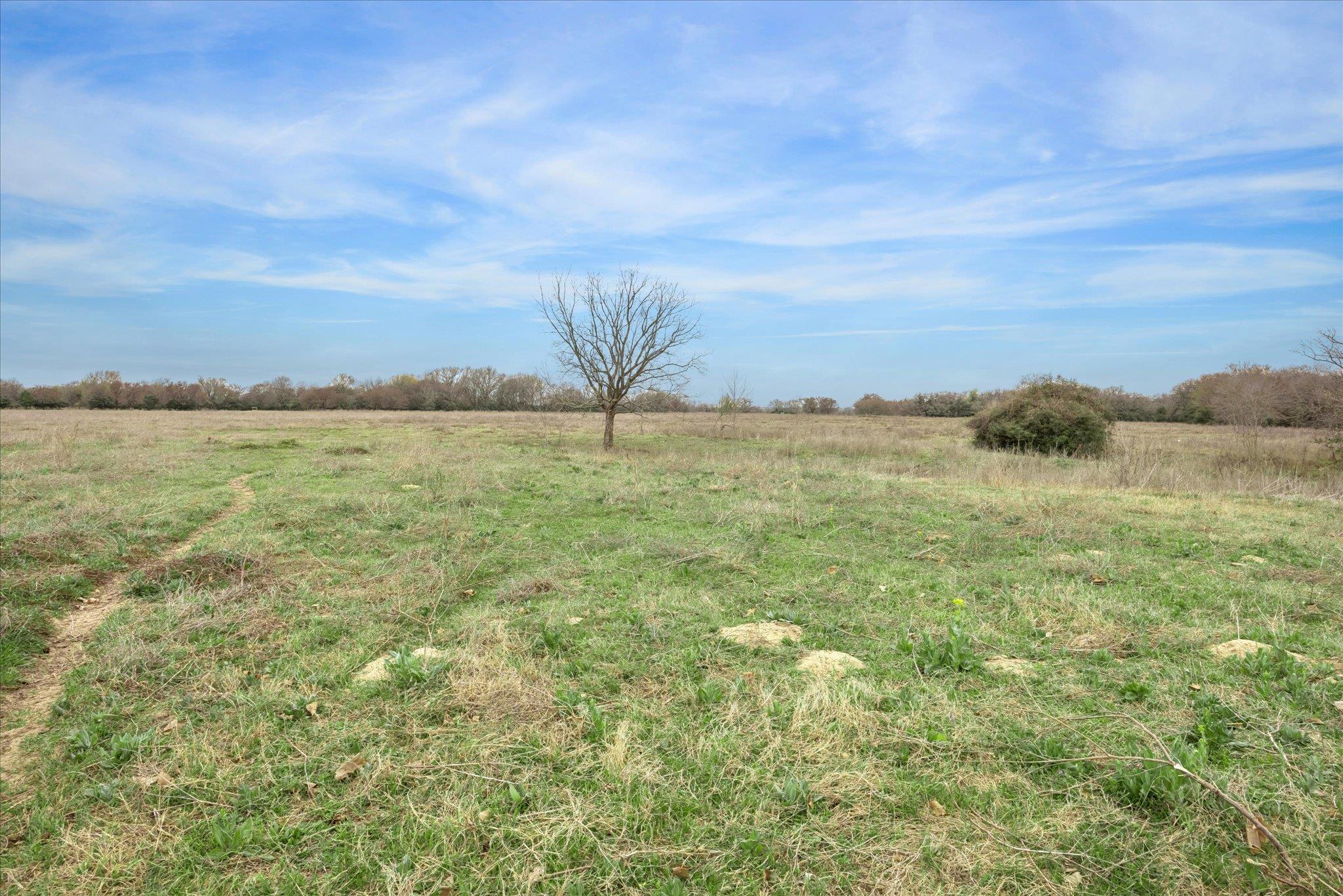 7281 County Road 358 Rd, Gause, TX 77836