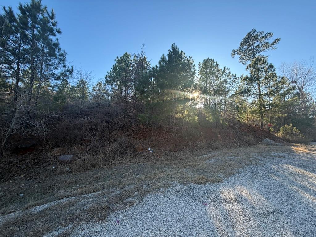 Lot 181 Keo Kea Ct, Bastrop, TX 78602