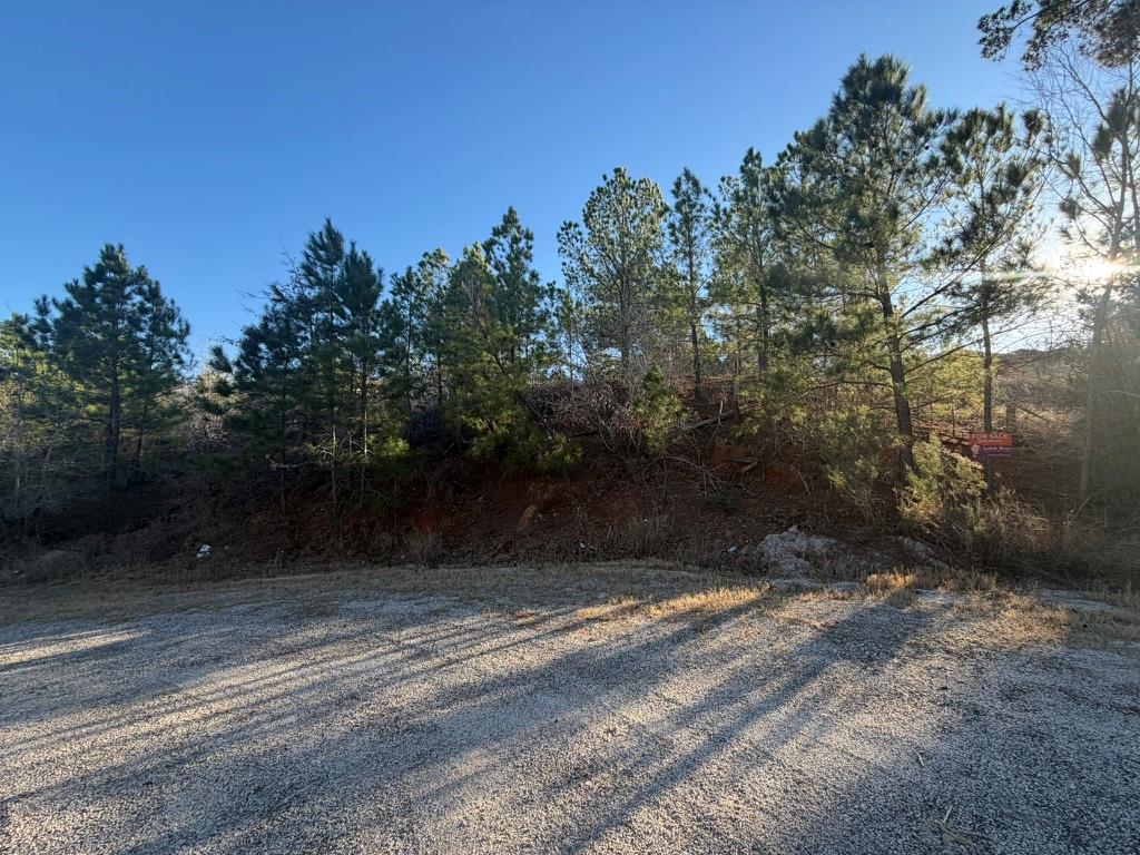 Lot 181 Keo Kea Ct, Bastrop, TX 78602
