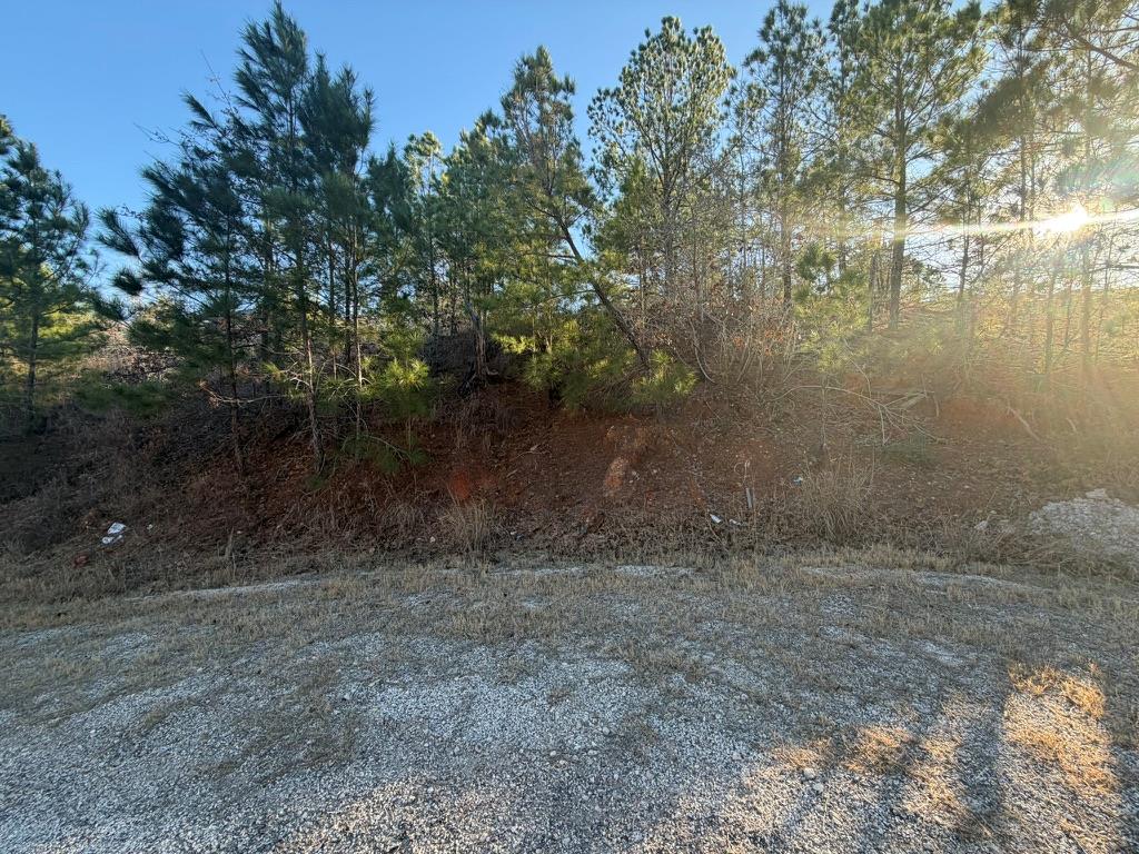 Lot 181 Keo Kea Ct, Bastrop, TX 78602