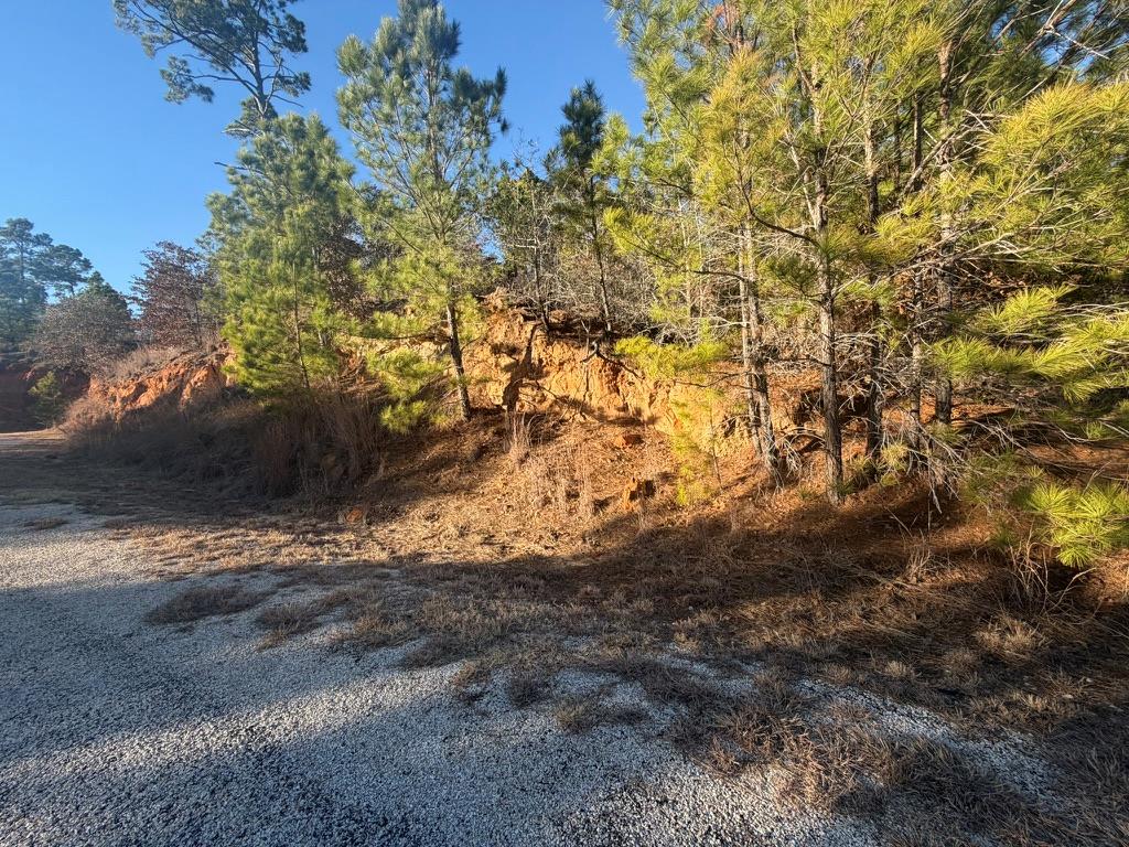 LOT 182 Keo Kea Ct, Bastrop, TX 78602