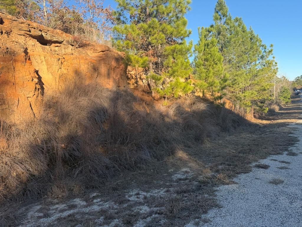 LOT 182 Keo Kea Ct, Bastrop, TX 78602