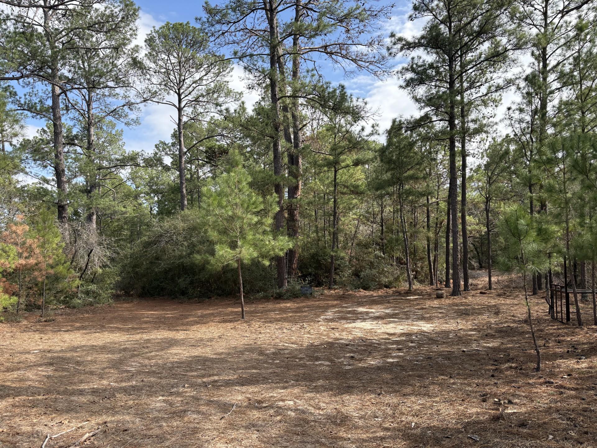 217 Kestrel Ln, Red Rock, TX 78662