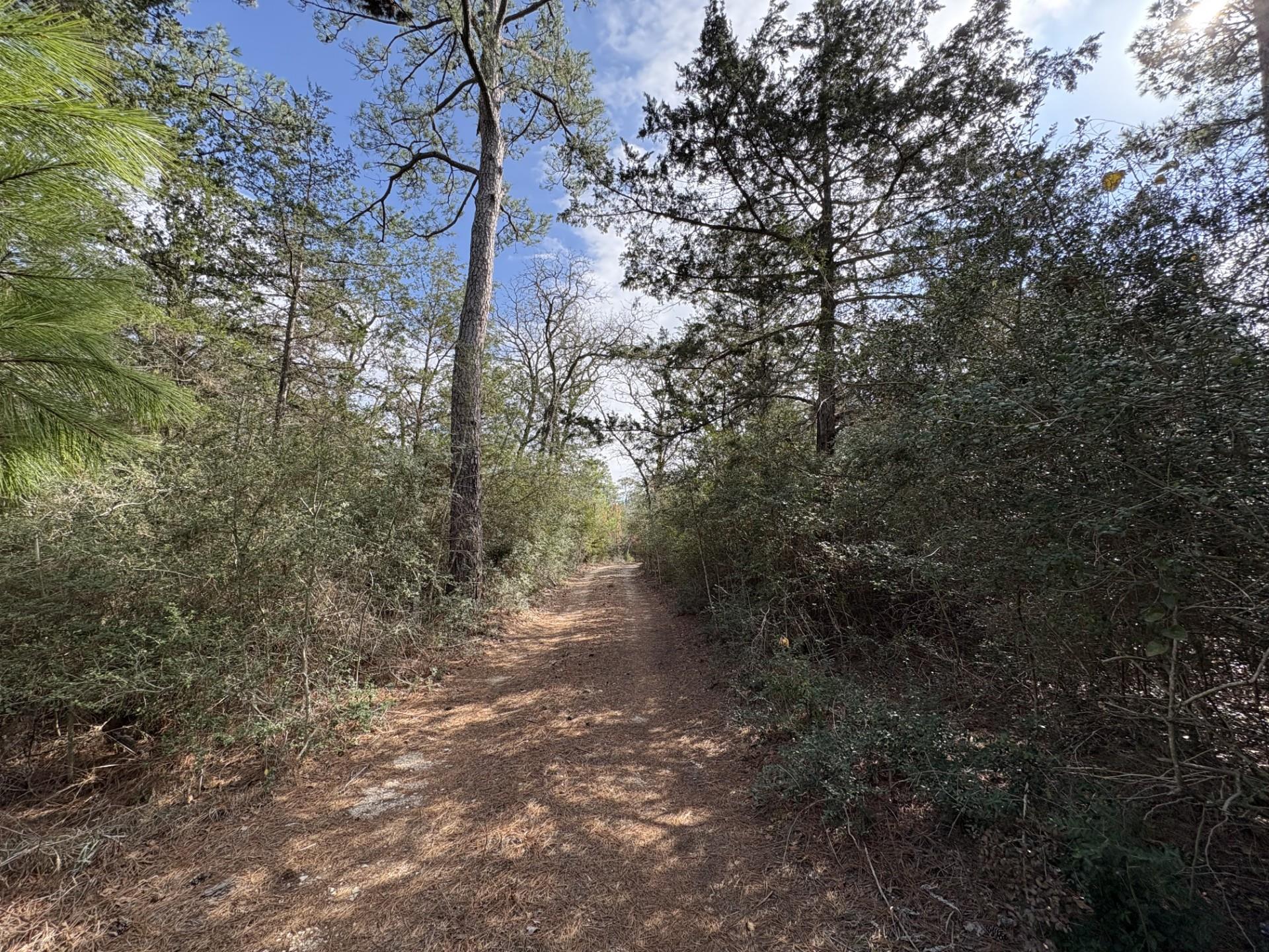 217 Kestrel Ln, Red Rock, TX 78662