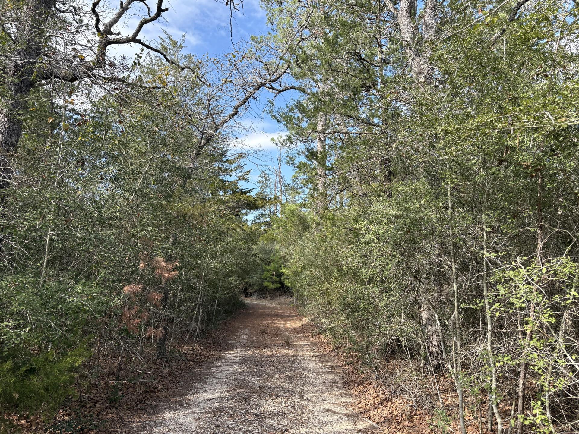 217 Kestrel Ln, Red Rock, TX 78662