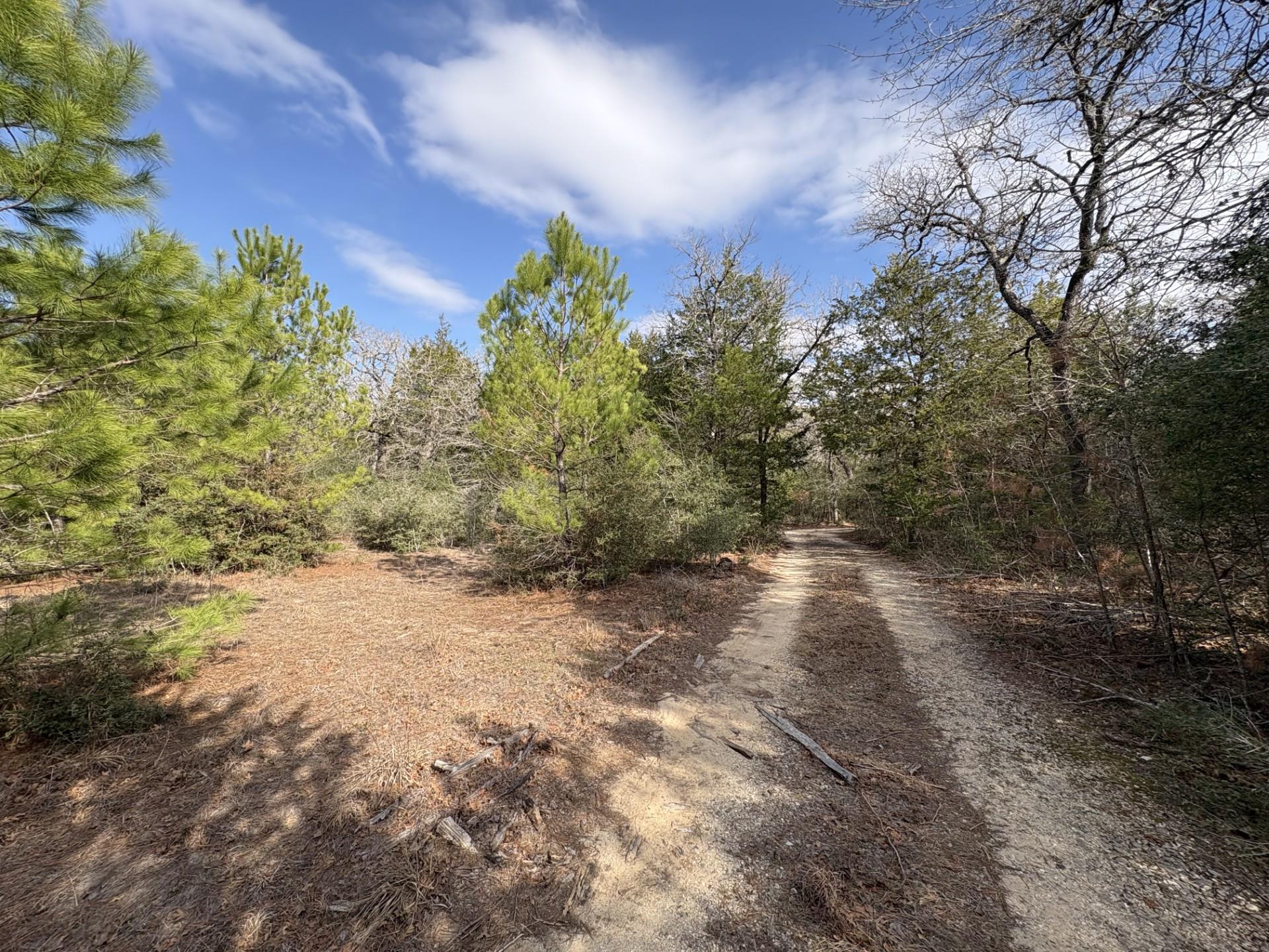 217 Kestrel Ln, Red Rock, TX 78662