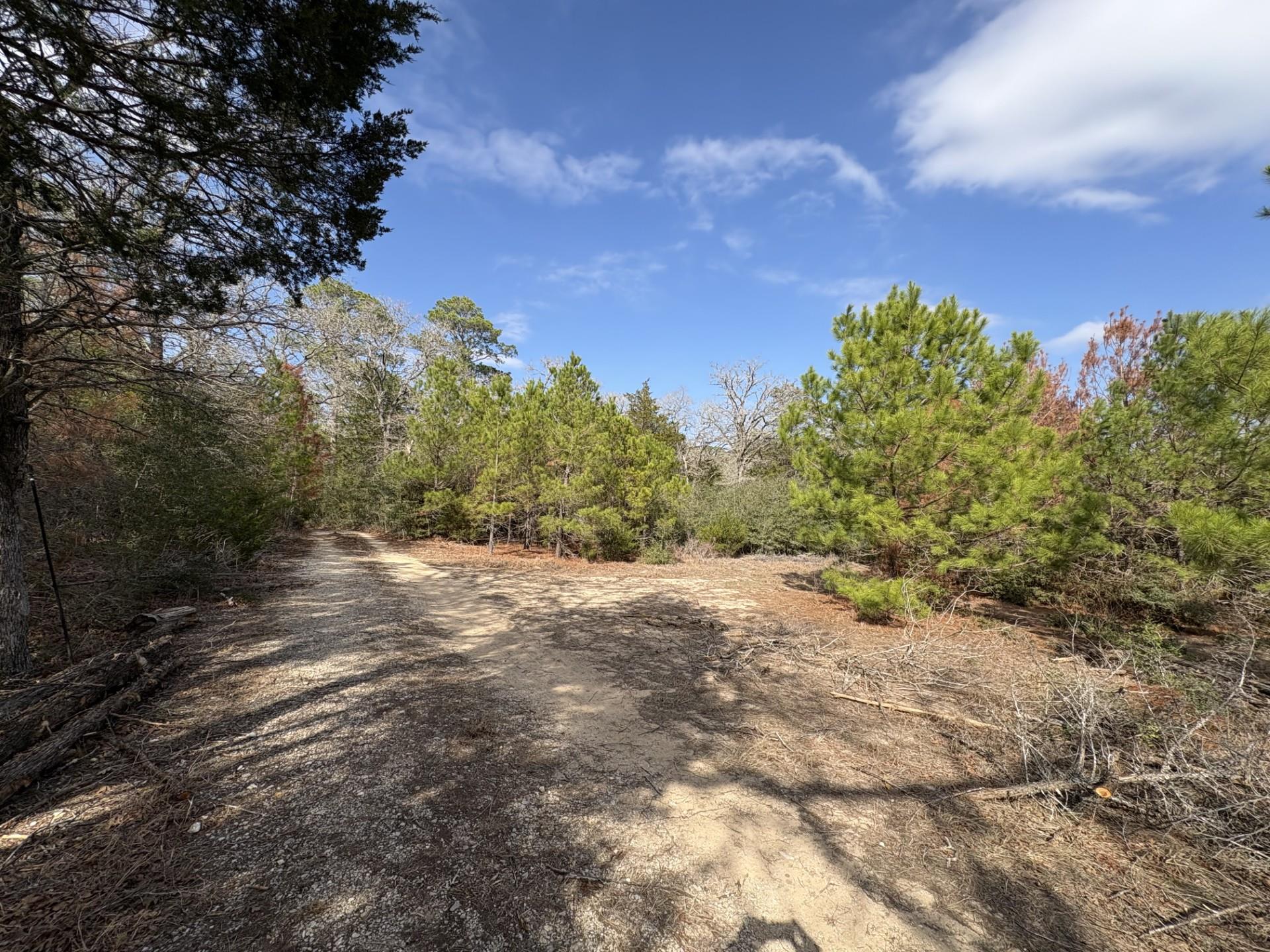 217 Kestrel Ln, Red Rock, TX 78662