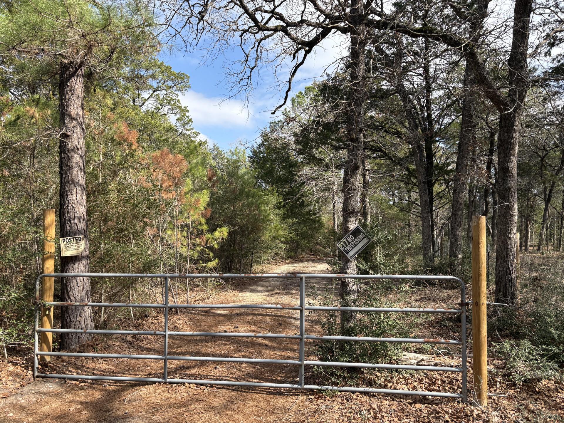 217 Kestrel Ln, Red Rock, TX 78662