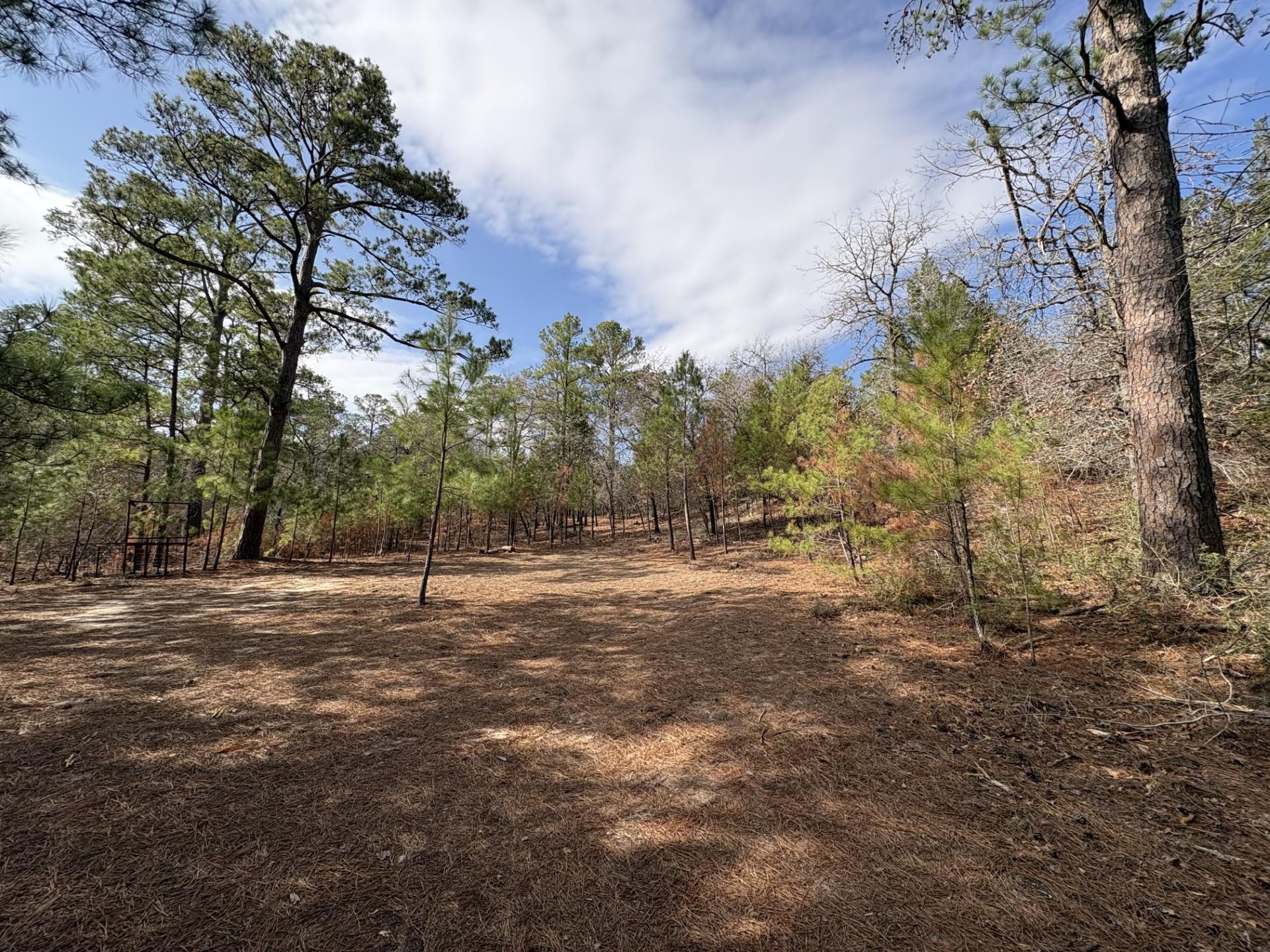 217 Kestrel Ln, Red Rock, TX 78662