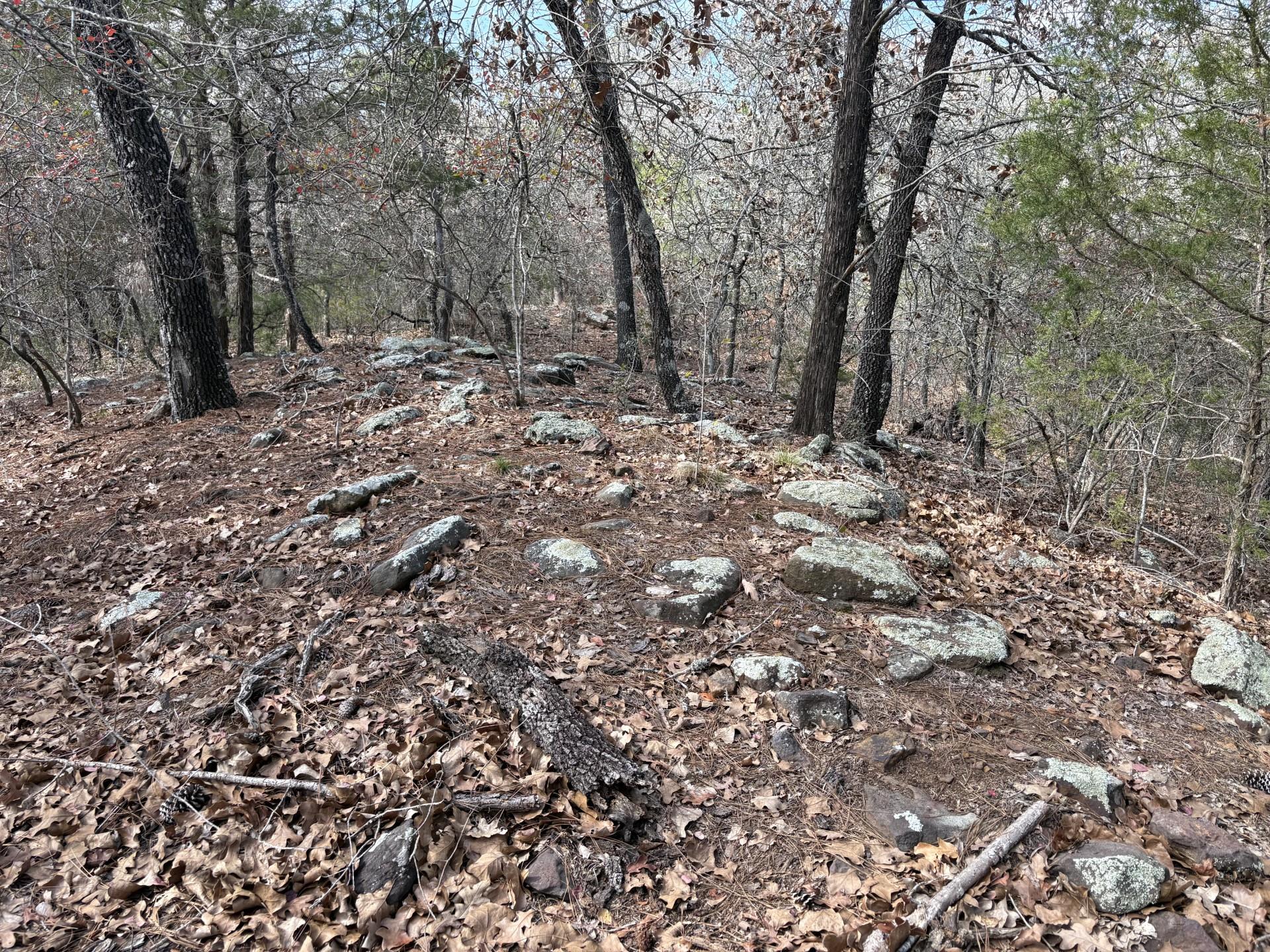 217 Kestrel Ln, Red Rock, TX 78662