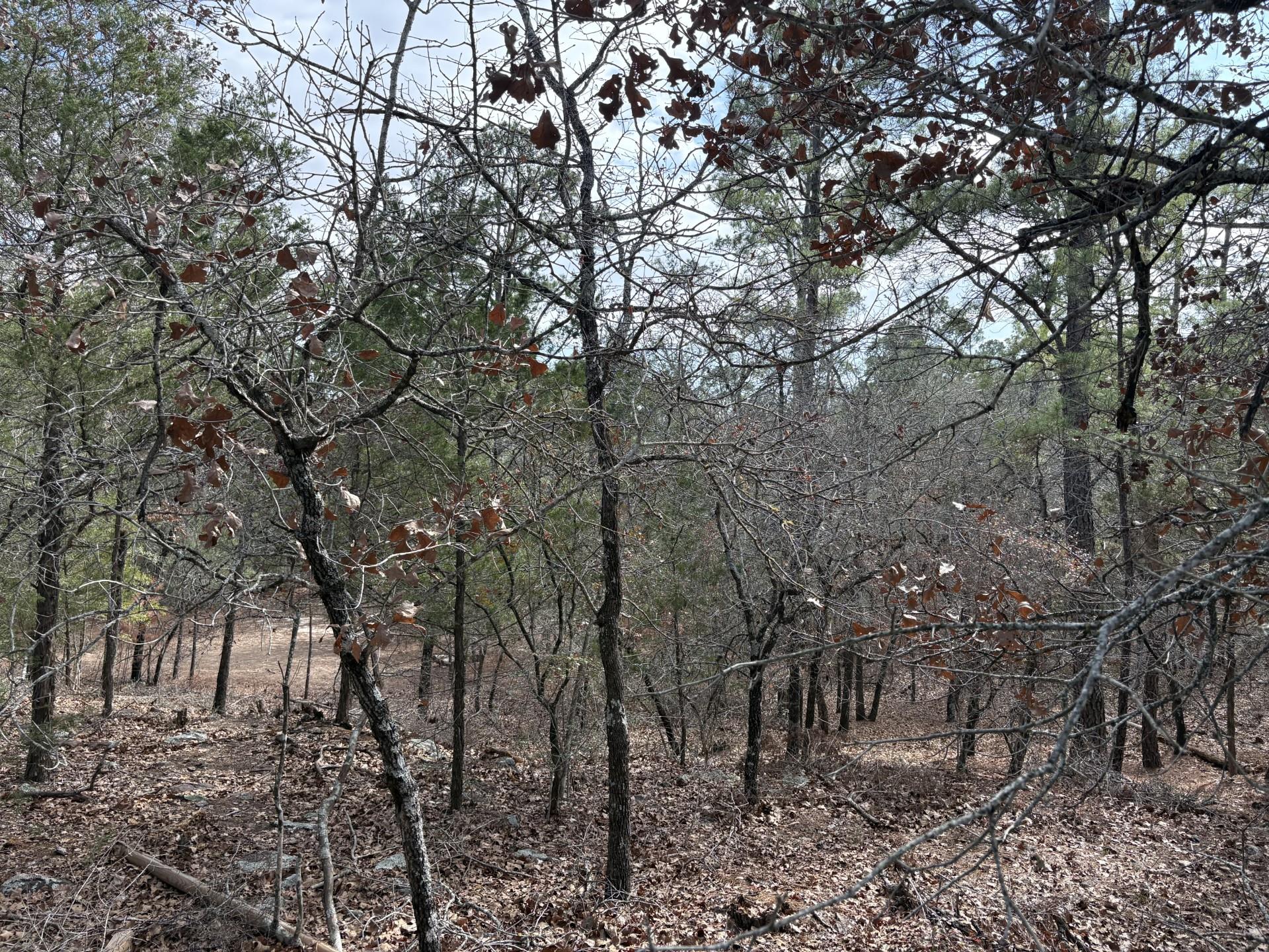 217 Kestrel Ln, Red Rock, TX 78662