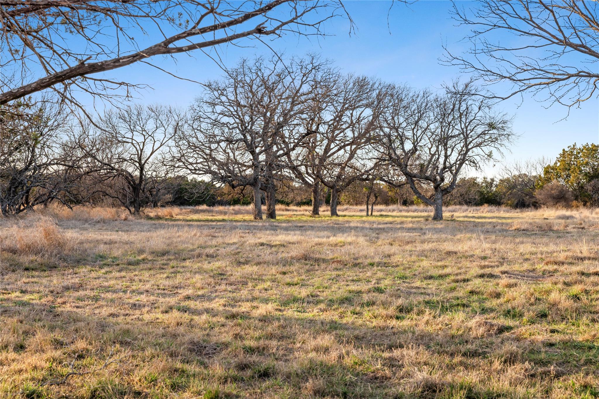 18239 FM 580, Lometa, TX 76853