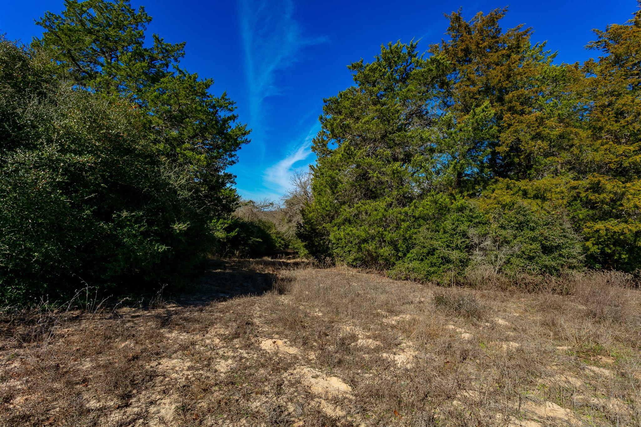 10162 County Road 321, Caldwell, TX 77836