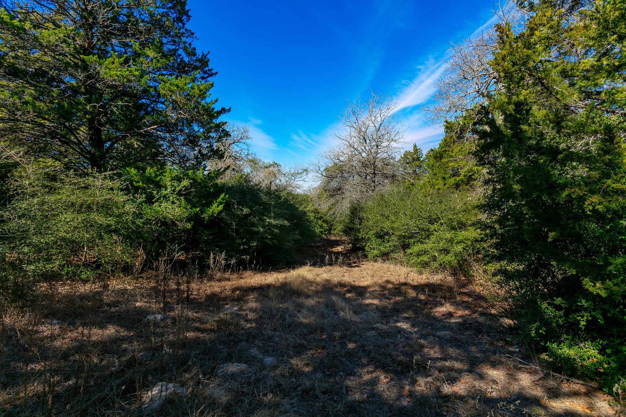10162 County Road 321, Caldwell, TX 77836