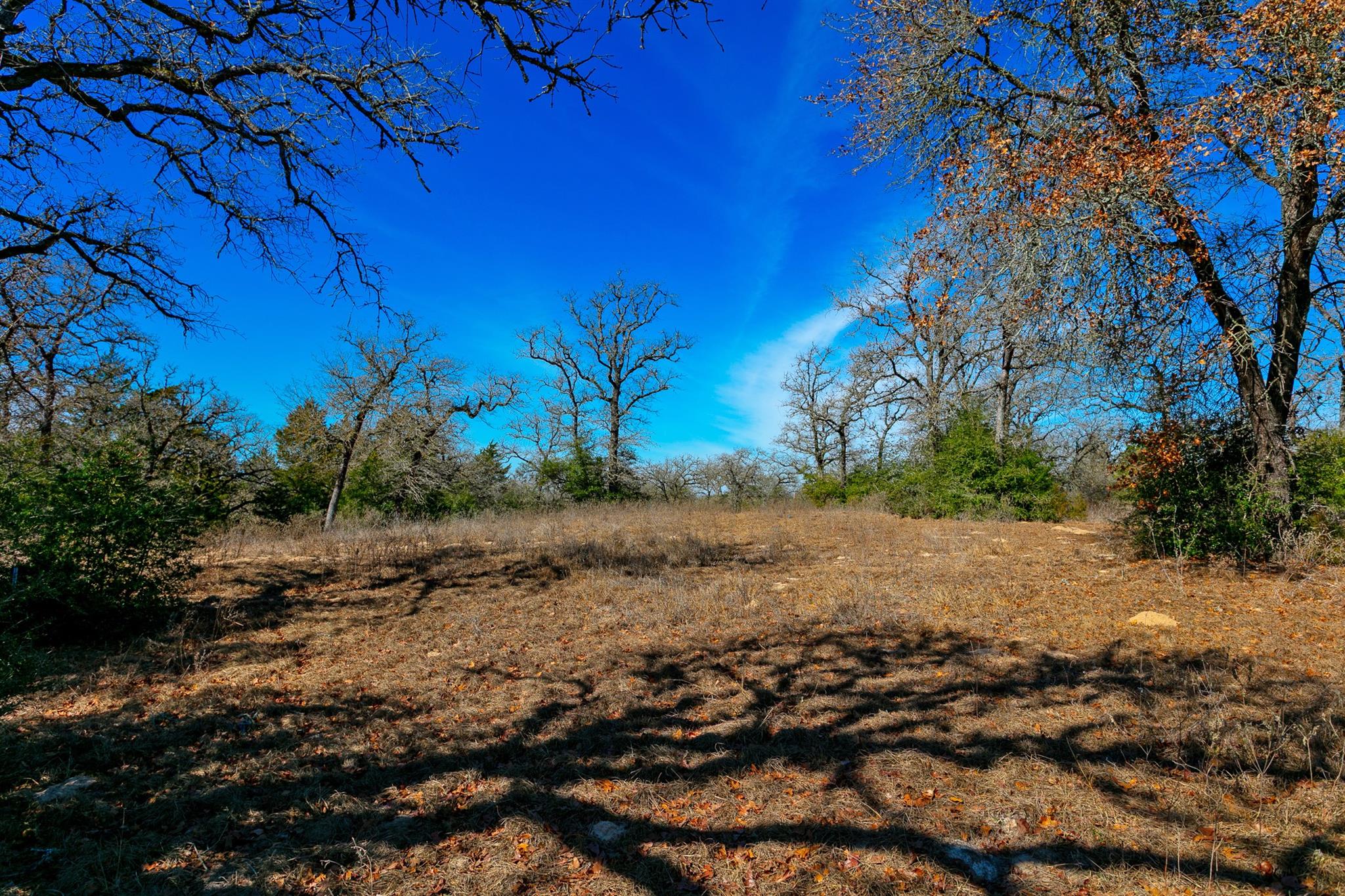10162 County Road 321, Caldwell, TX 77836
