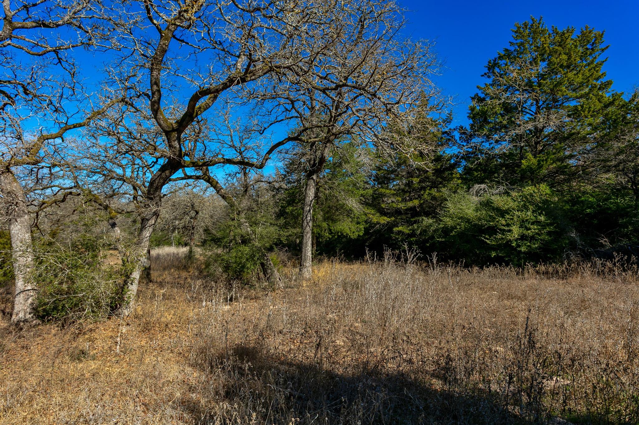 10162 County Road 321, Caldwell, TX 77836