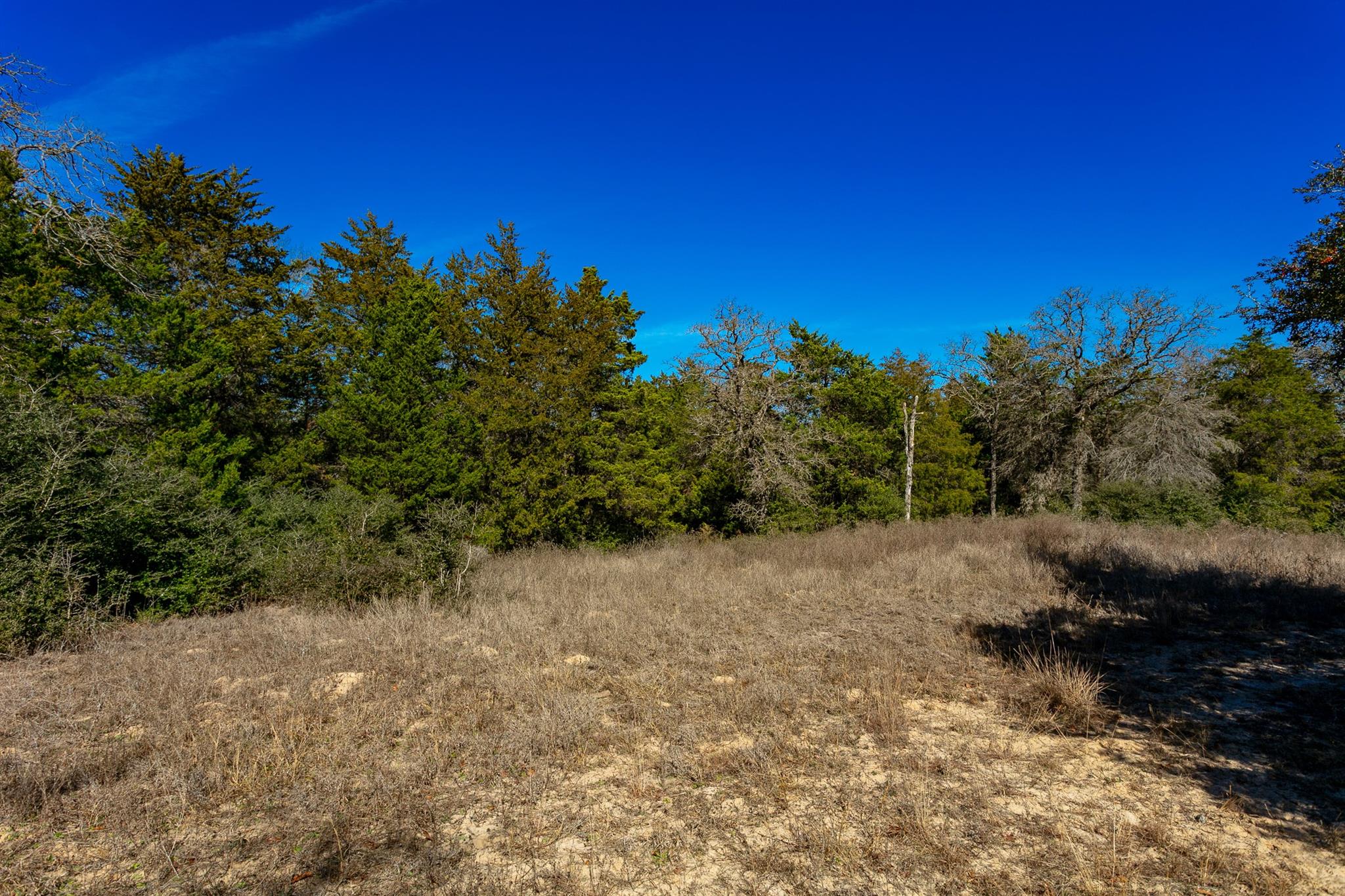 10162 County Road 321, Caldwell, TX 77836