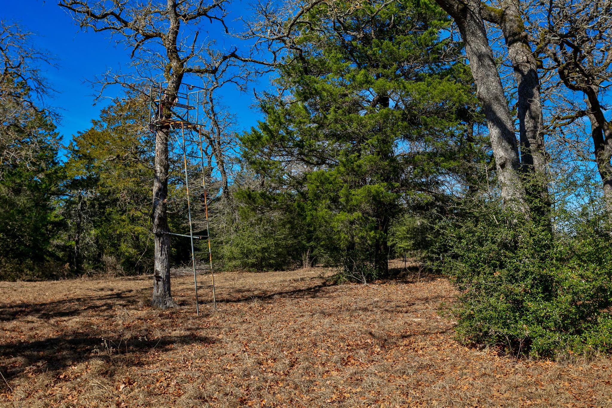 10162 County Road 321, Caldwell, TX 77836