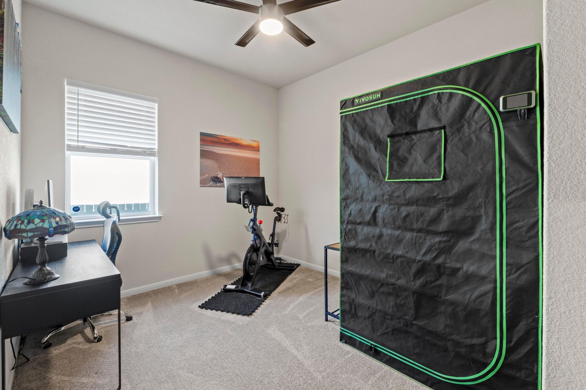 16509 Fetching Ave, Manor, TX 78653