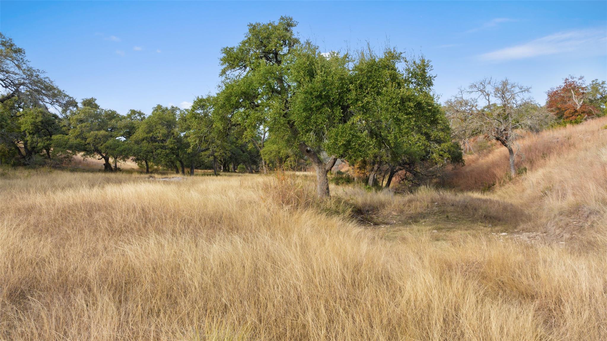 751 Prochnow Rd, Dripping Springs, TX 78620