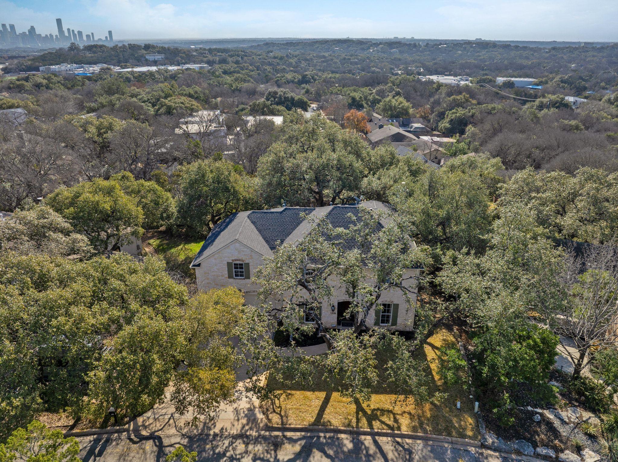 1305 Constant Springs Dr, Austin, TX 78746