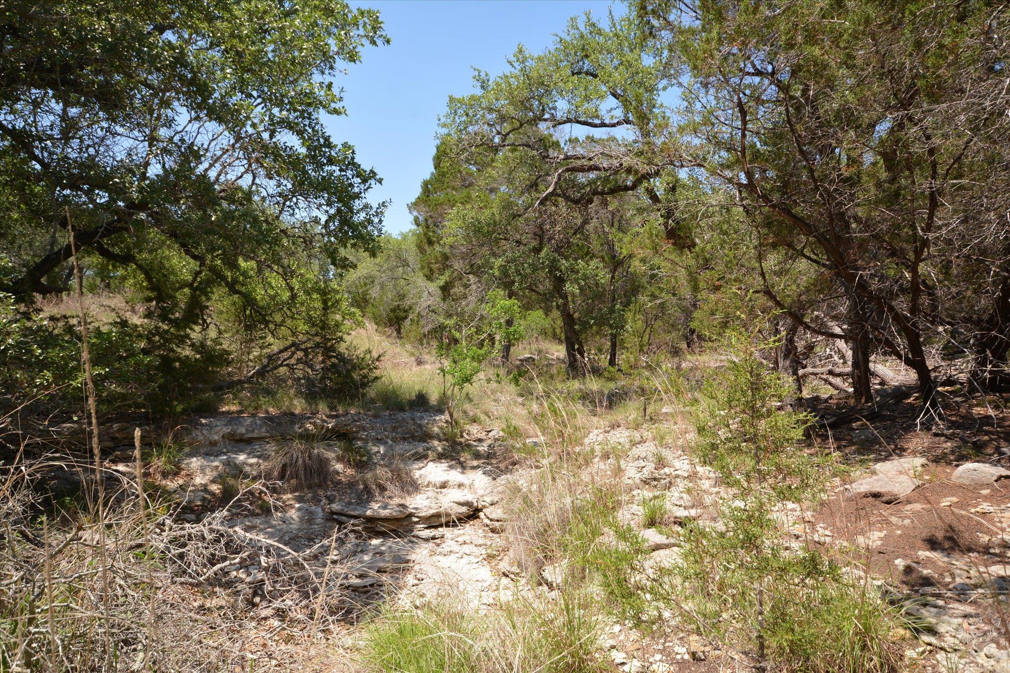 TBD LOT 17-B DEER RUN, Wimberley, TX 78676
