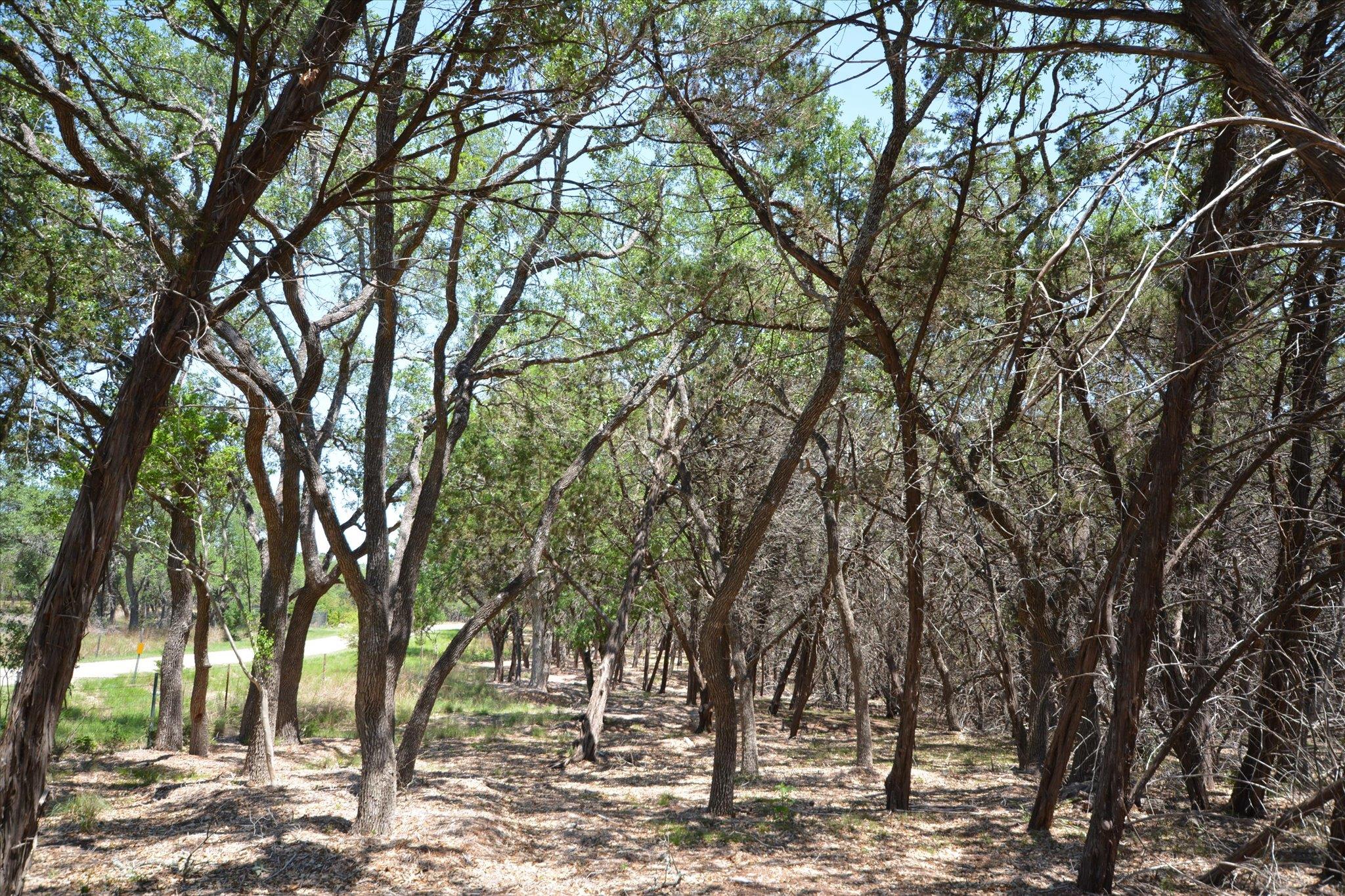 TBD LOT 17-B DEER RUN, Wimberley, TX 78676