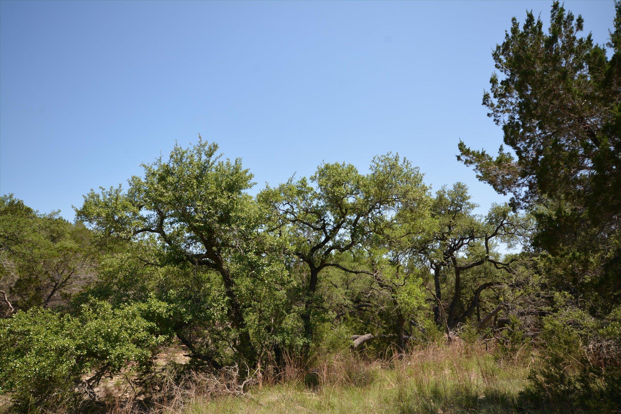 TBD LOT 17-B DEER RUN, Wimberley, TX 78676