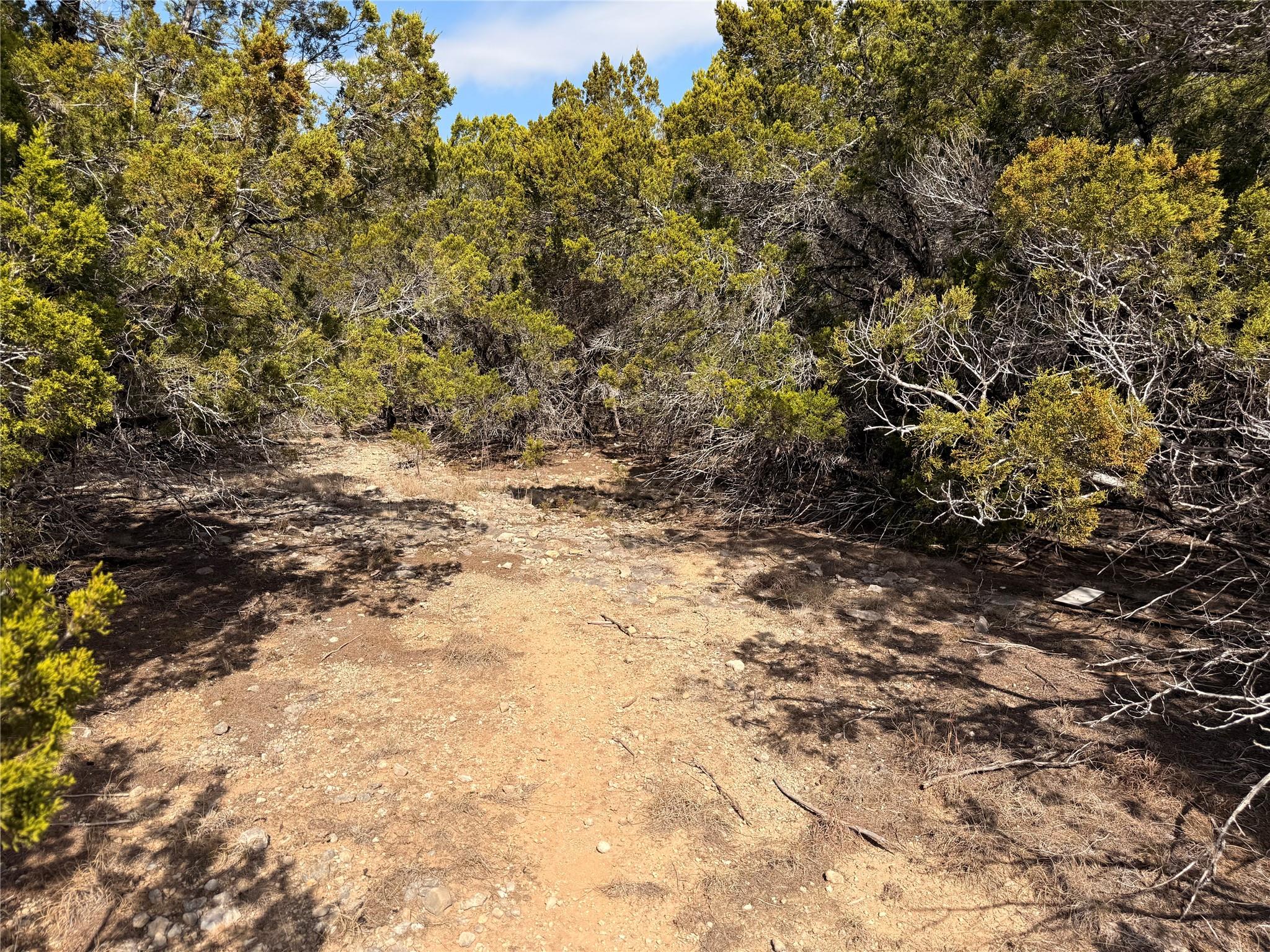 20206 Lee Ln, Lago Vista, TX 78645