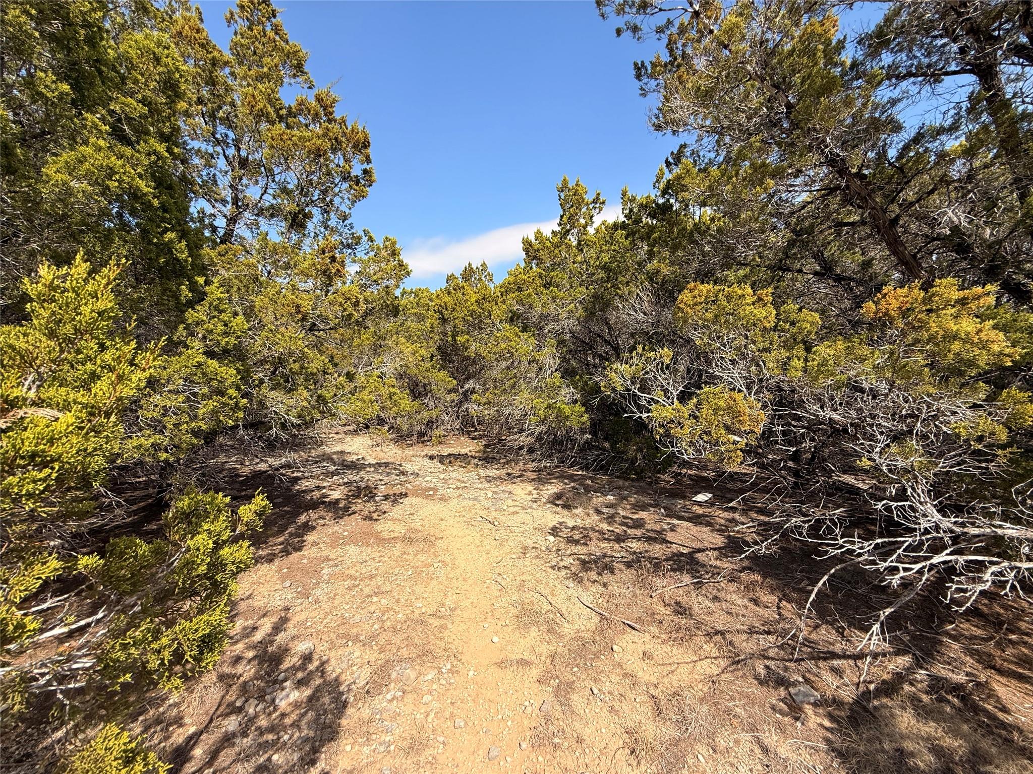 20206 Lee Ln, Lago Vista, TX 78645