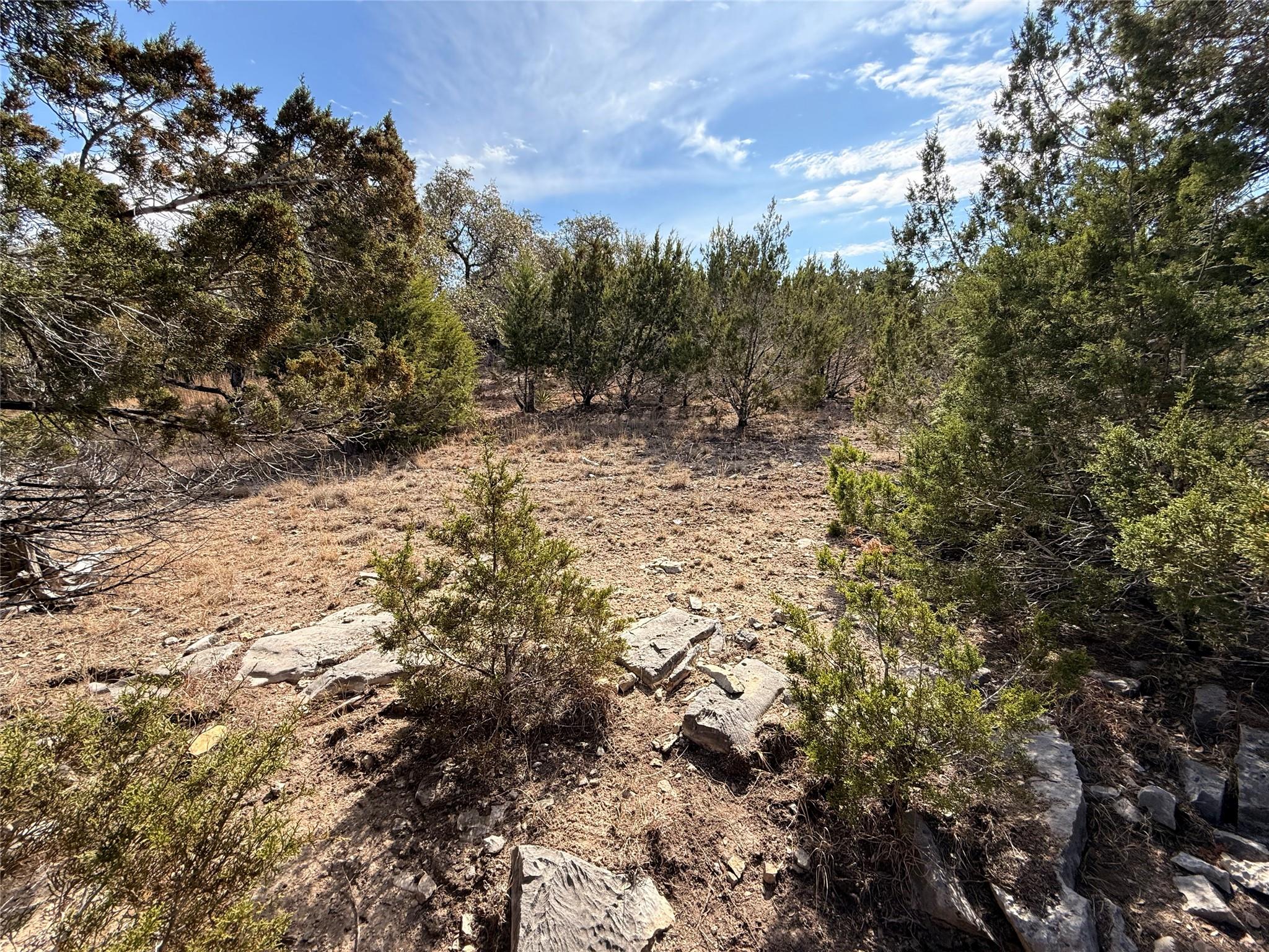 21503 Paine Ave, Lago Vista, TX 78645