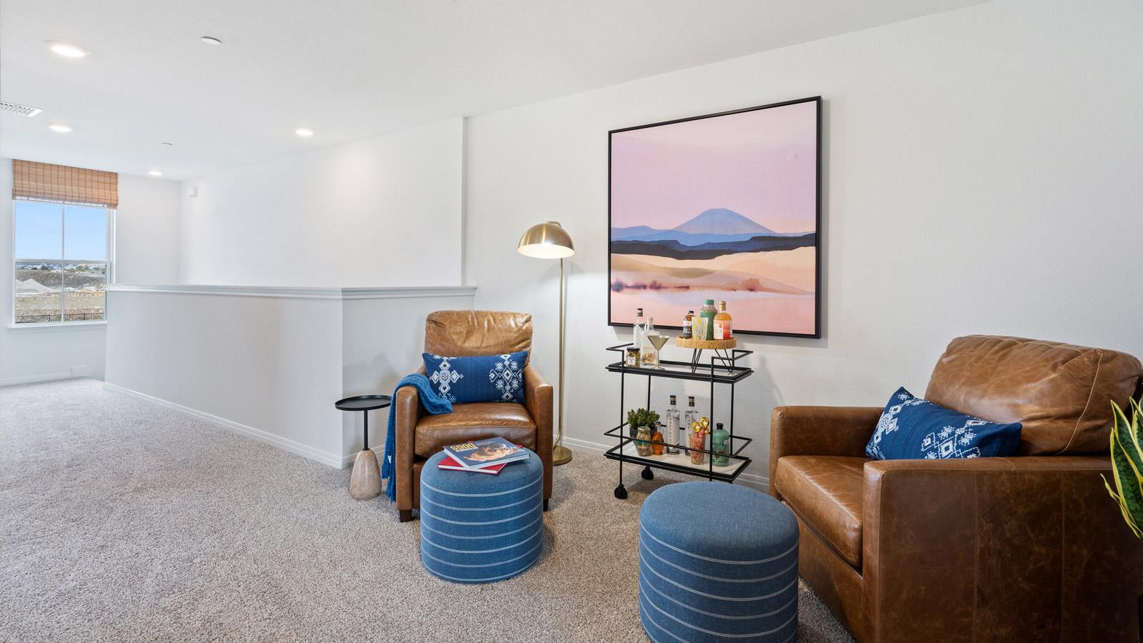 2512 Violet Theo Ln, Round Rock, TX 78665