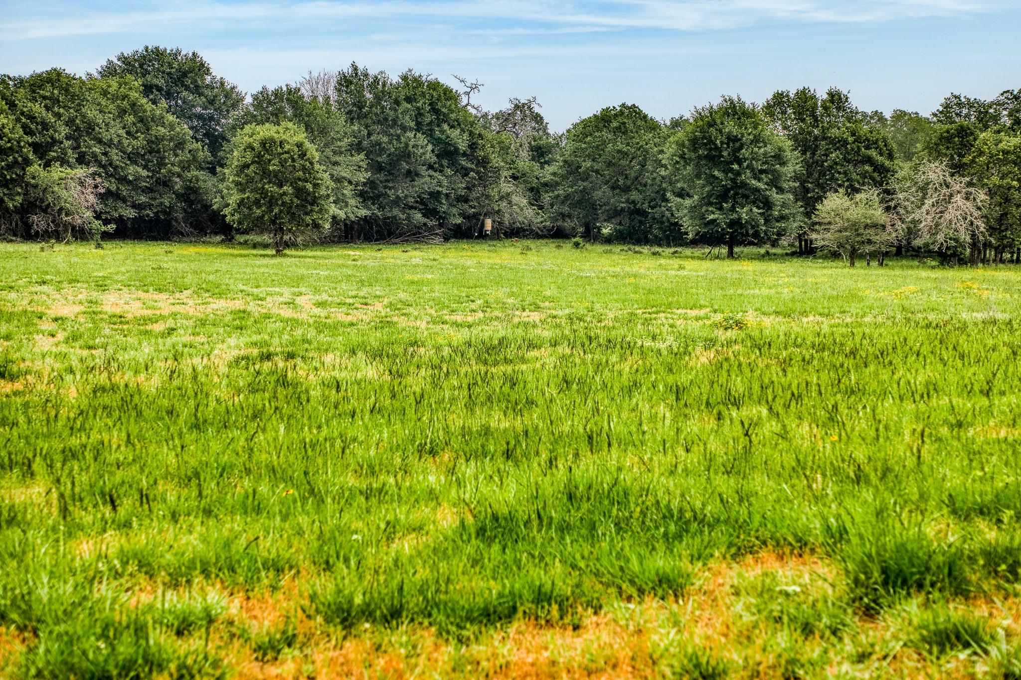 10610 CR 322, Caldwell, TX 77836