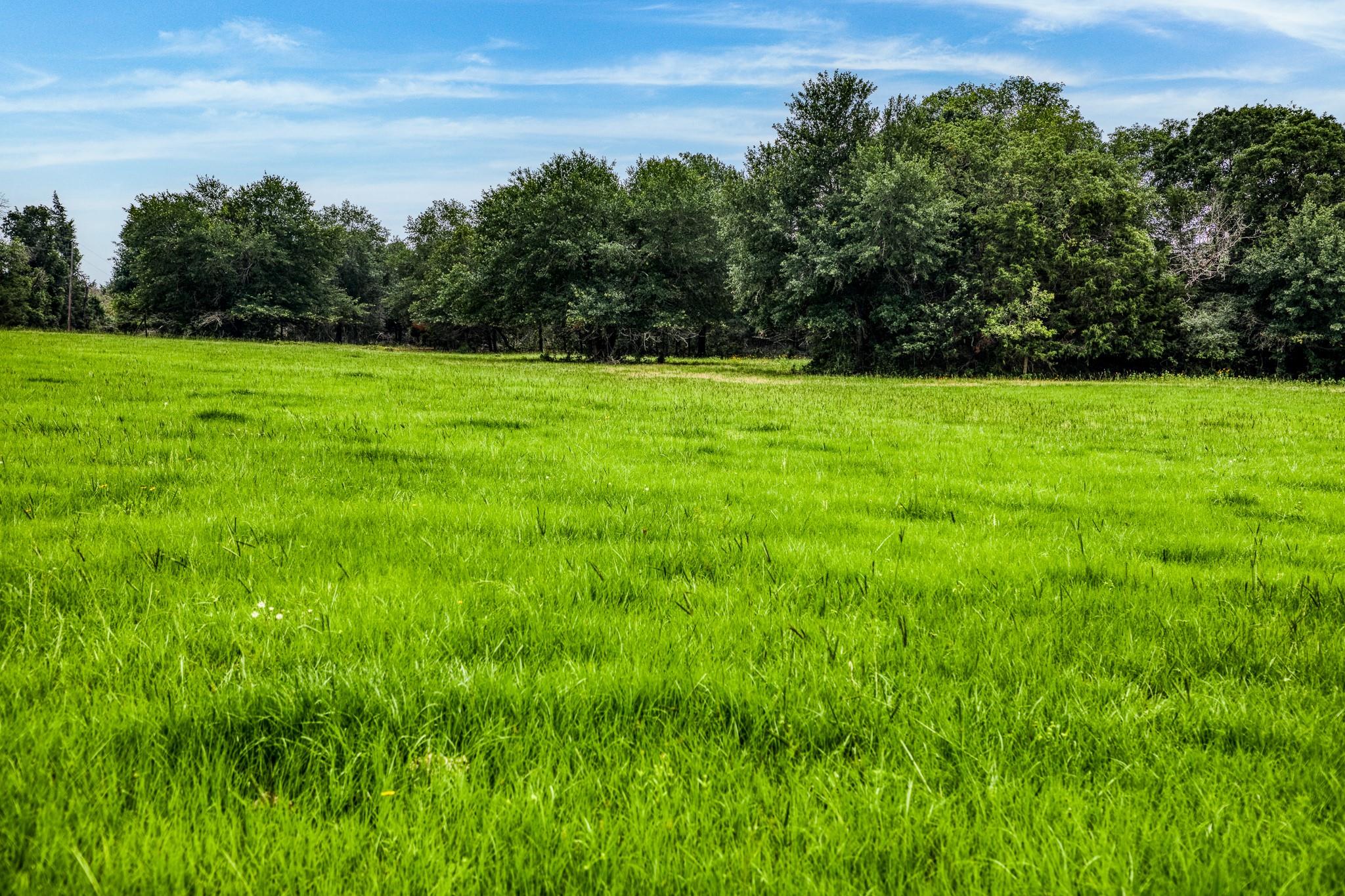 10610 CR 322, Caldwell, TX 77836