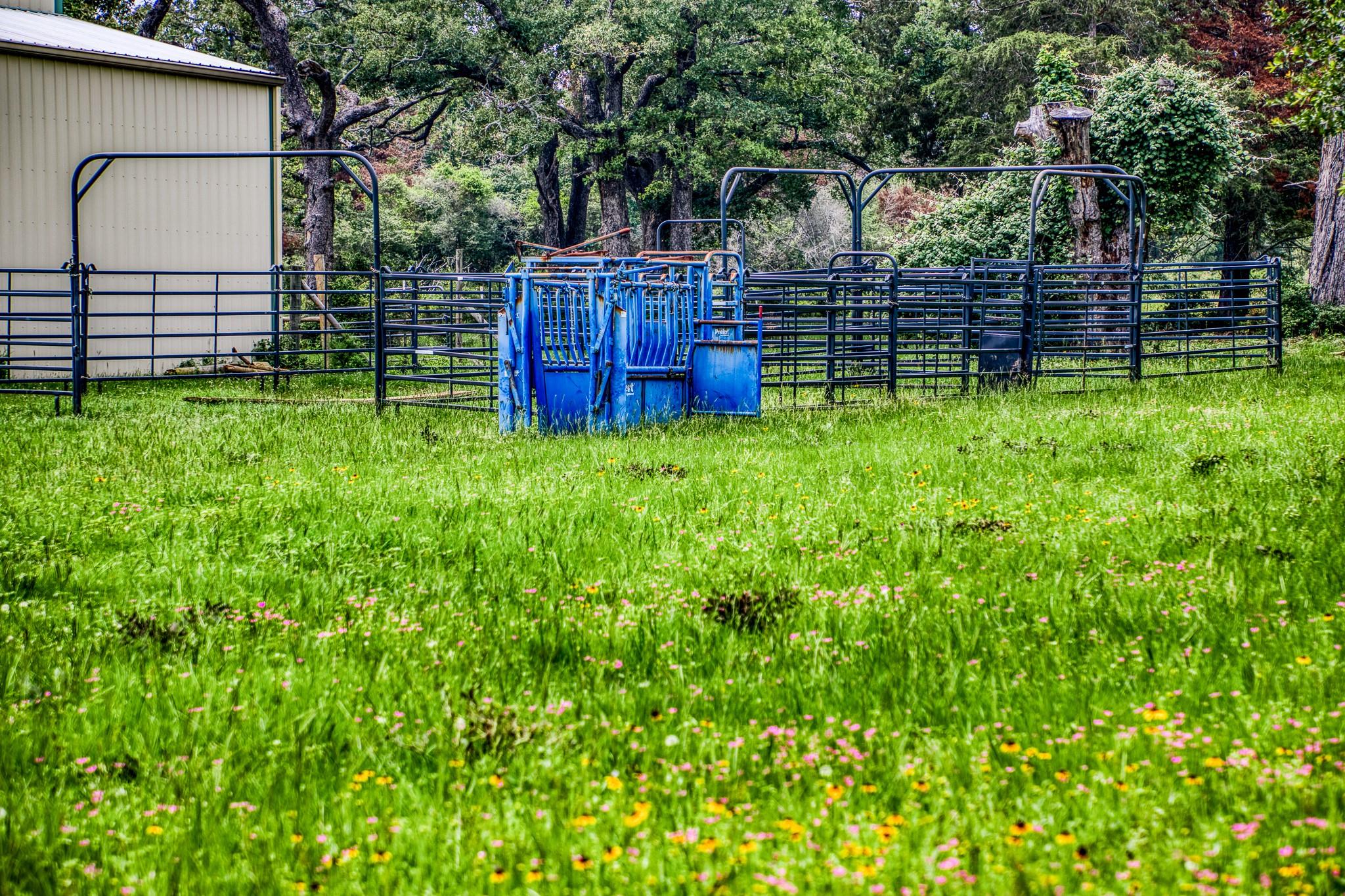 10610 CR 322, Caldwell, TX 77836