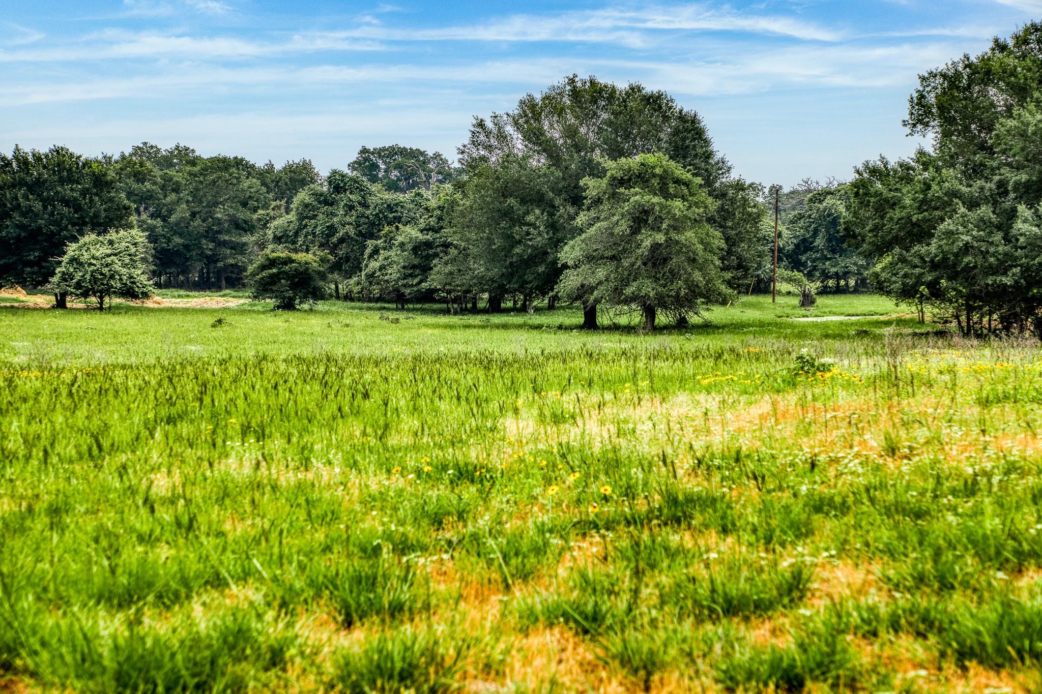 10610 CR 322, Caldwell, TX 77836