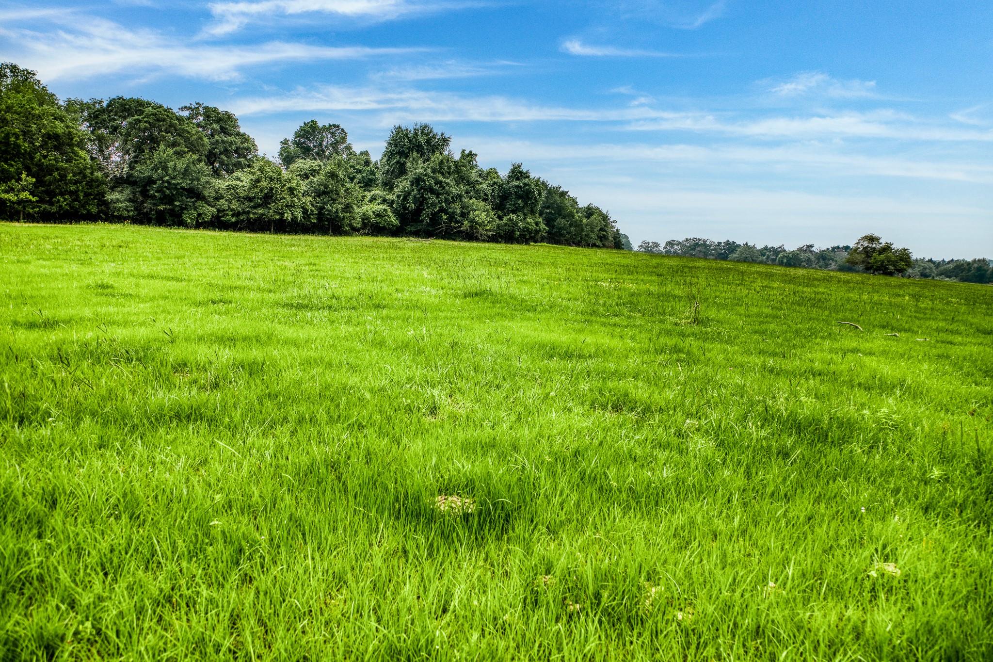 10610 CR 322, Caldwell, TX 77836