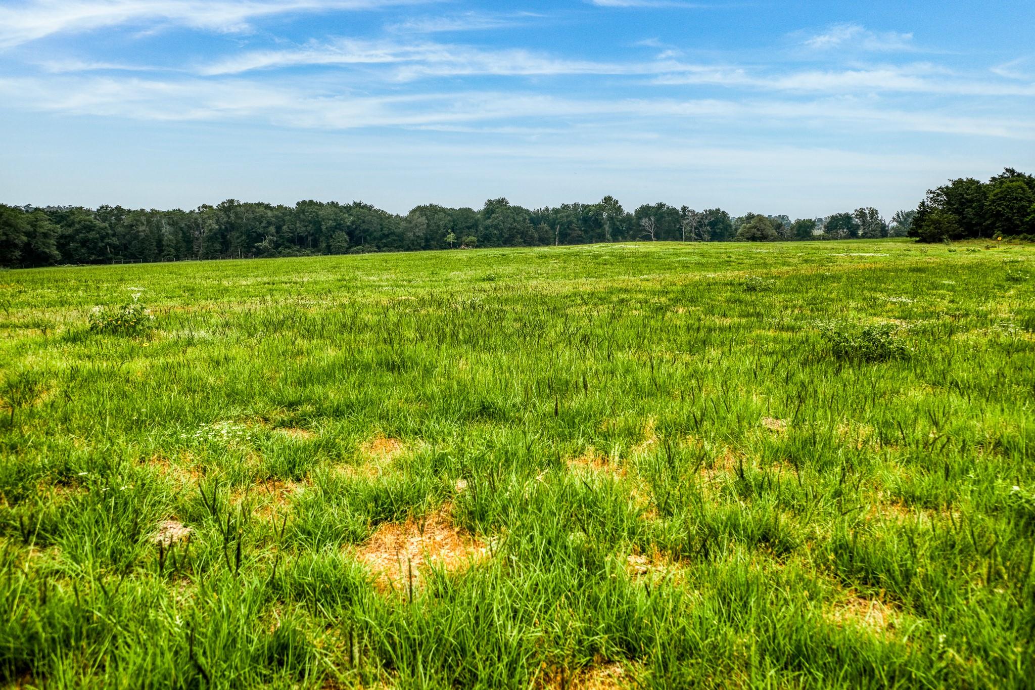 10610 CR 322, Caldwell, TX 77836