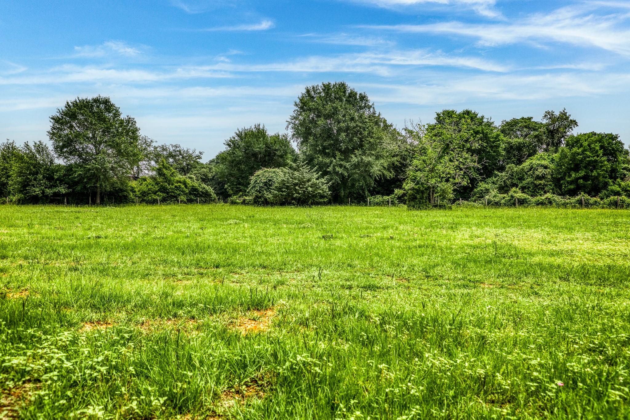 10610 CR 322, Caldwell, TX 77836