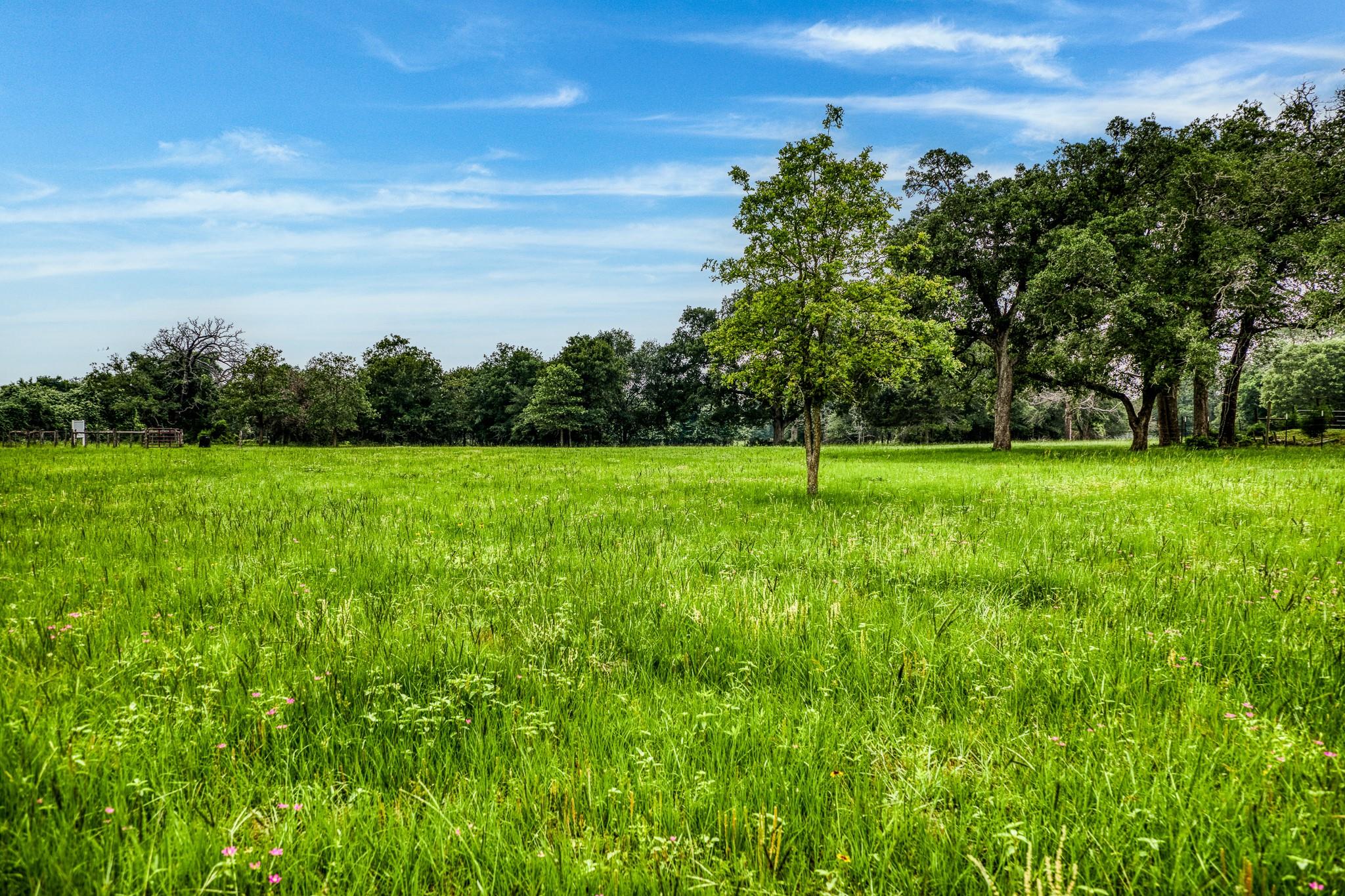 10610 CR 322, Caldwell, TX 77836