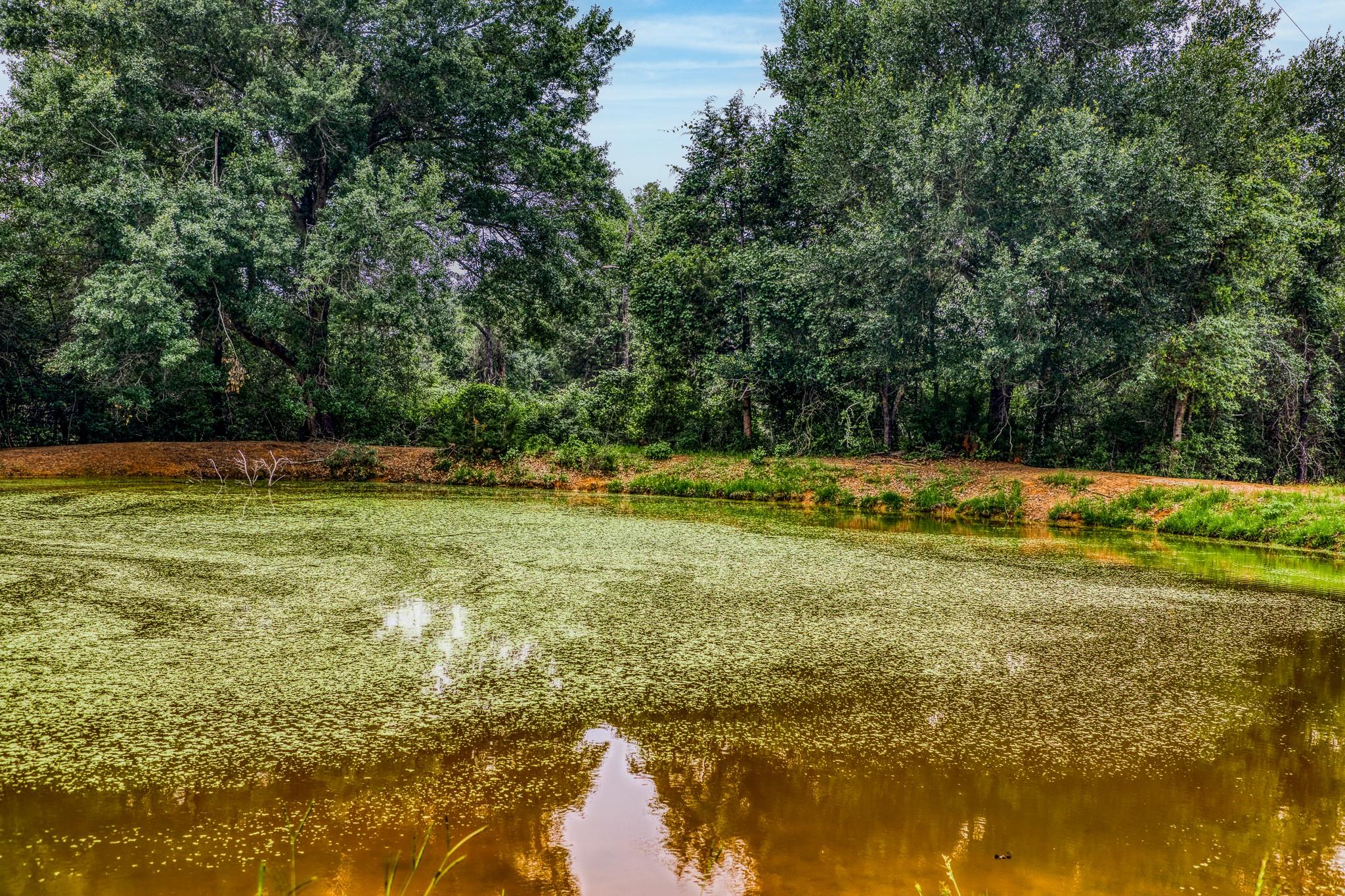 10610 CR 322, Caldwell, TX 77836