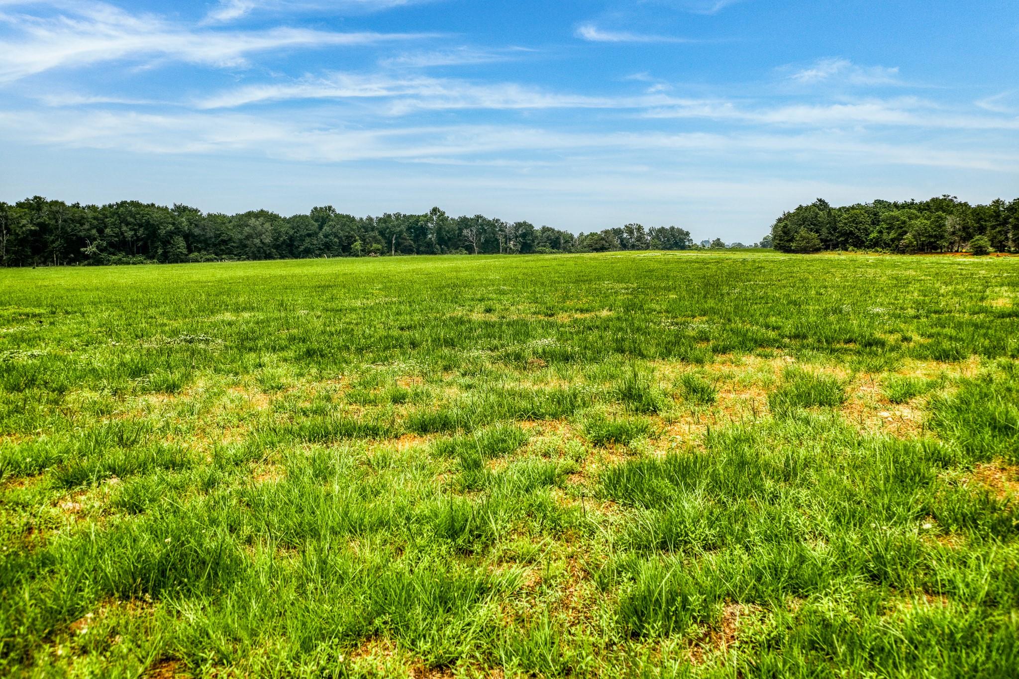 10610 CR 322, Caldwell, TX 77836