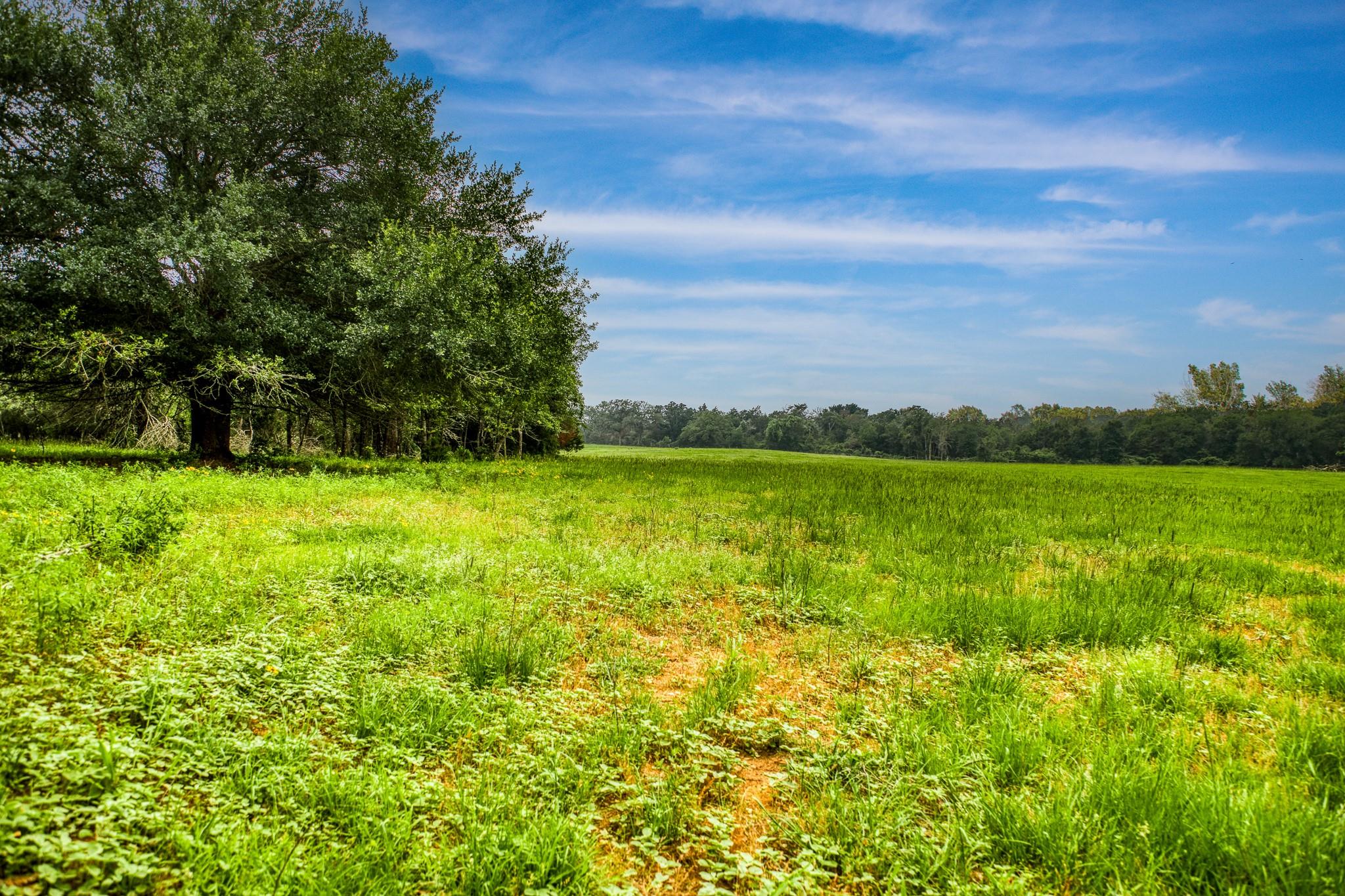 10610 CR 322, Caldwell, TX 77836