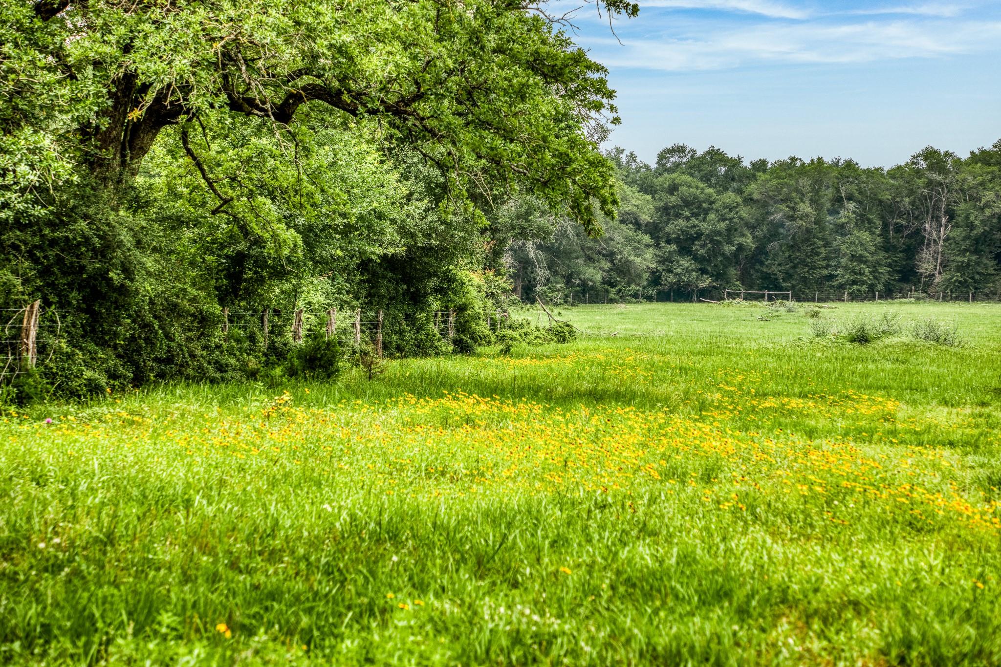 10610 CR 322, Caldwell, TX 77836