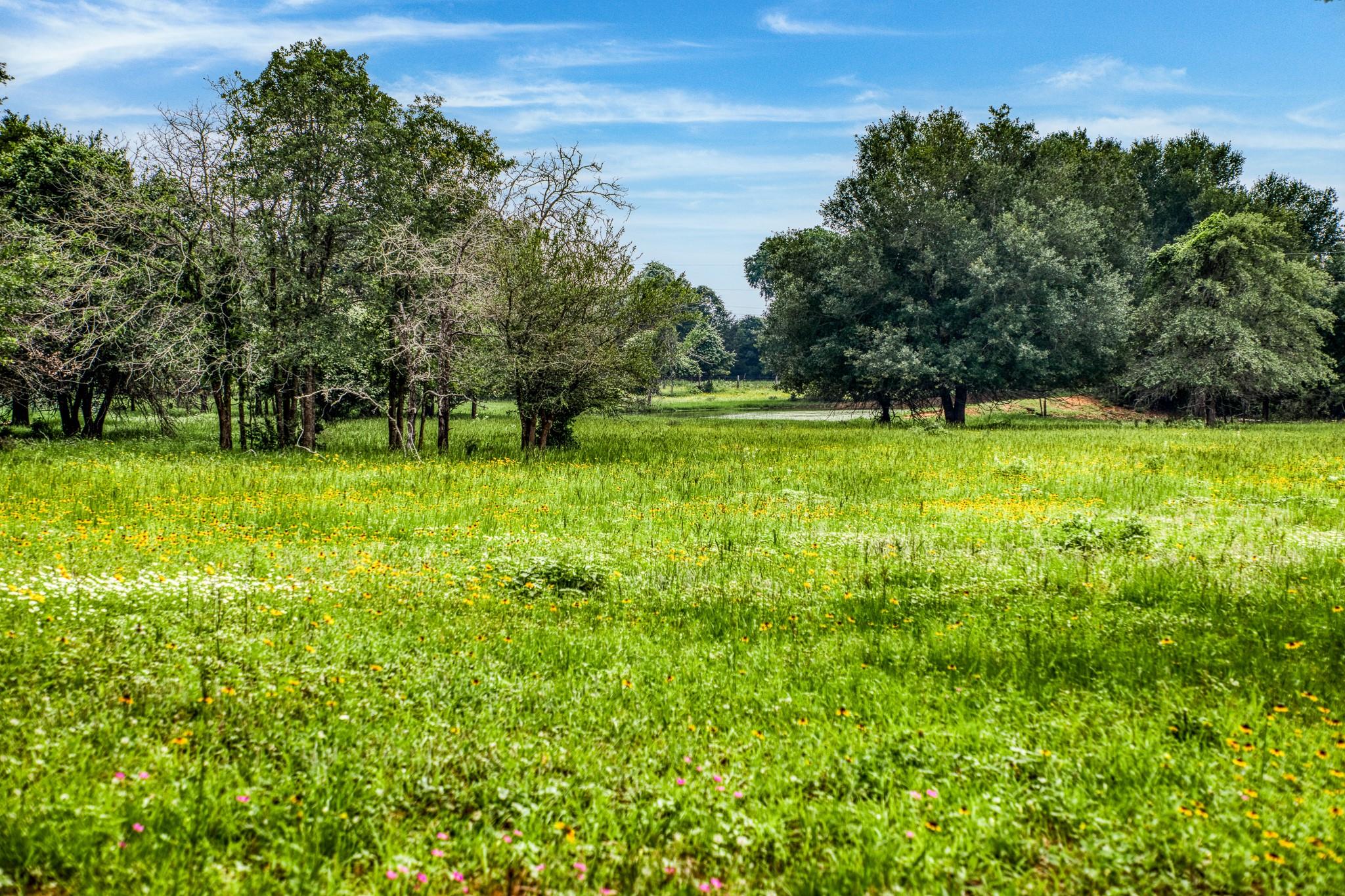 10610 CR 322, Caldwell, TX 77836