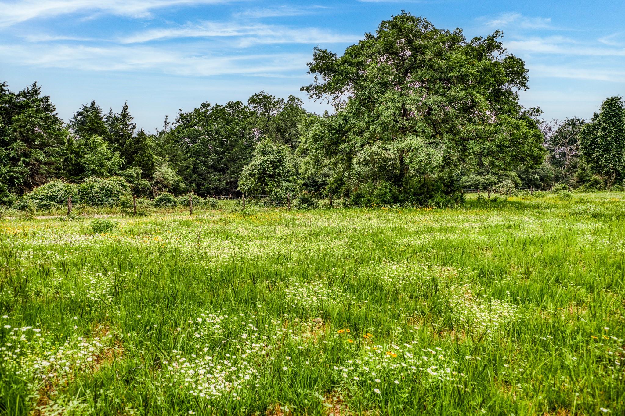 10610 CR 322, Caldwell, TX 77836