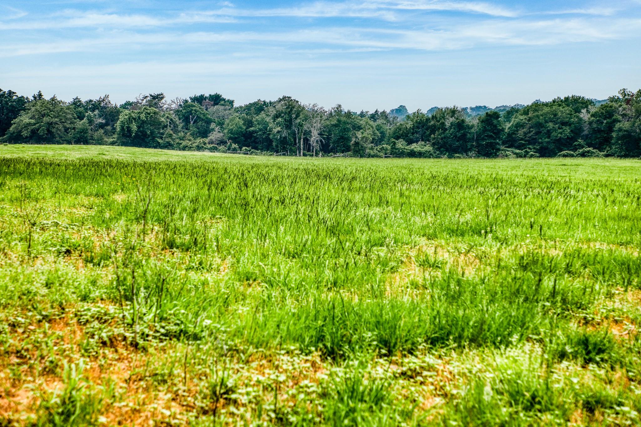 10610 CR 322, Caldwell, TX 77836